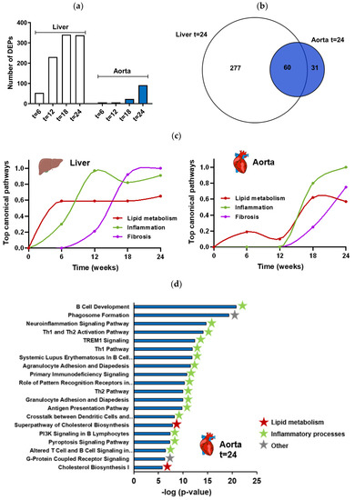 Temporal Relationships Between Circulating Levels of CC and CXC Chemokines  and Developing Atherosclerosis in Apolipoprotein E*3 Leiden Mice