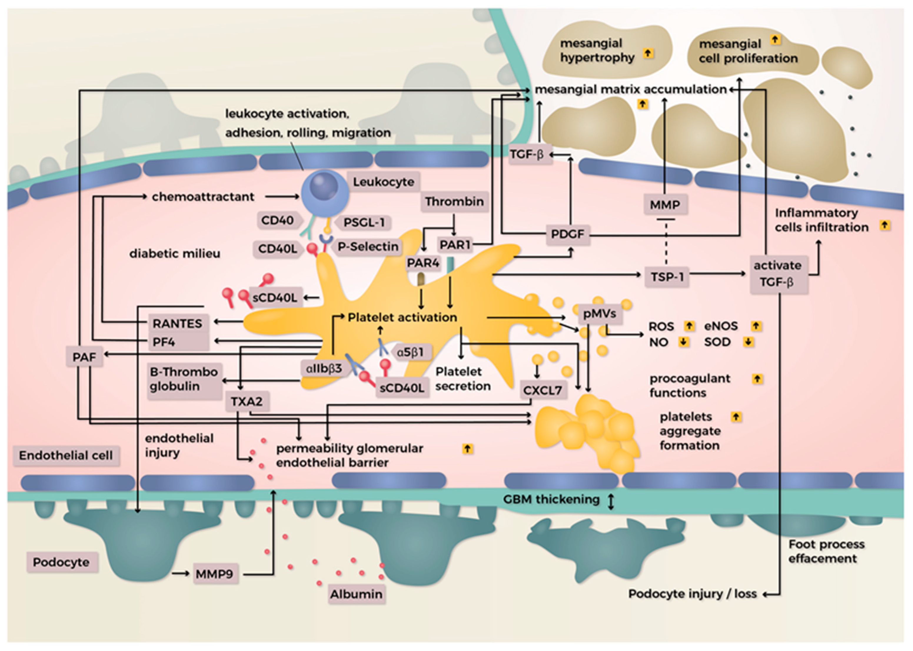 Ijms 23 08270 g001 Ijms 23 08270 g001