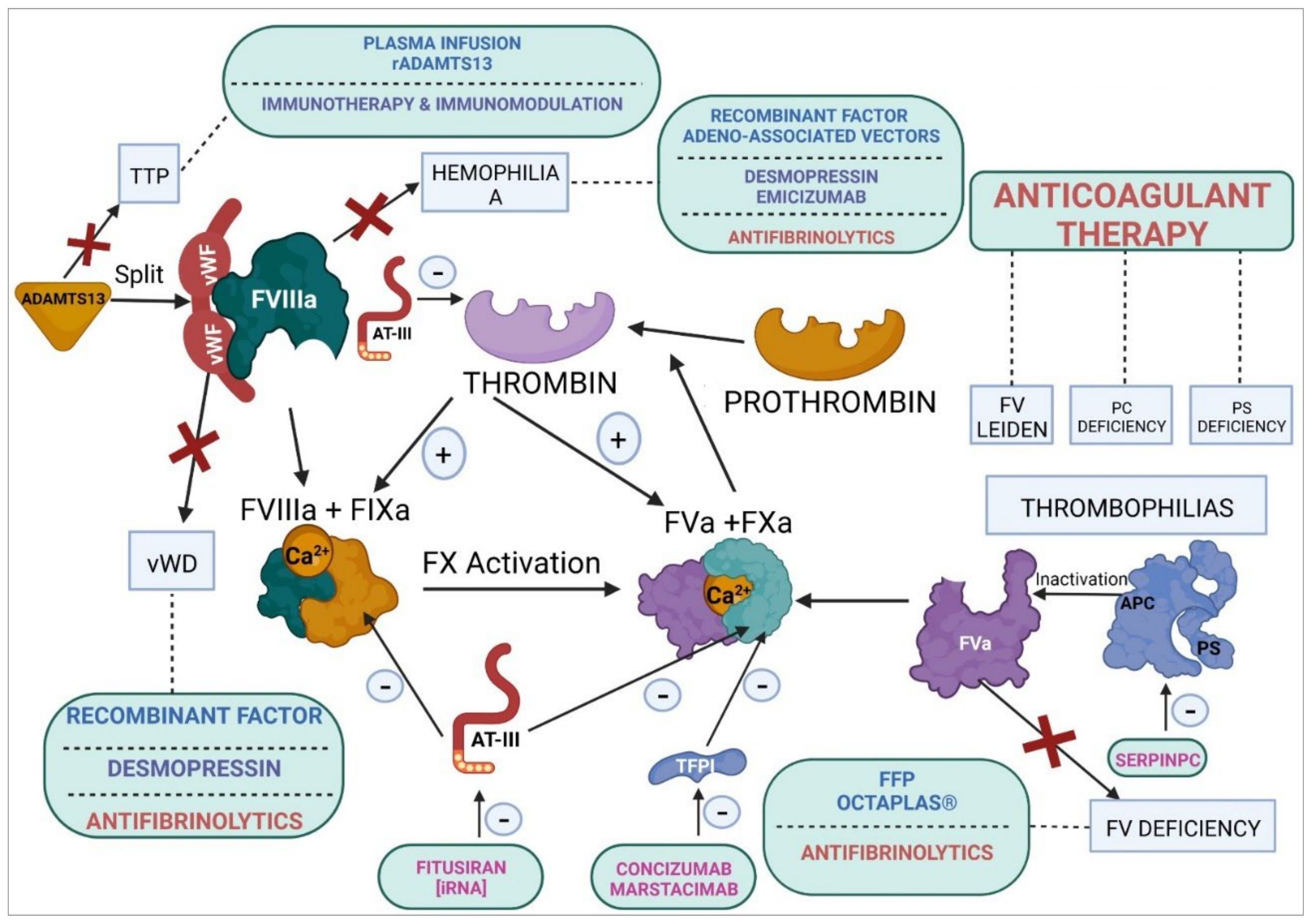 Ijms 23 08283 g007 Ijms 23 08283 g007