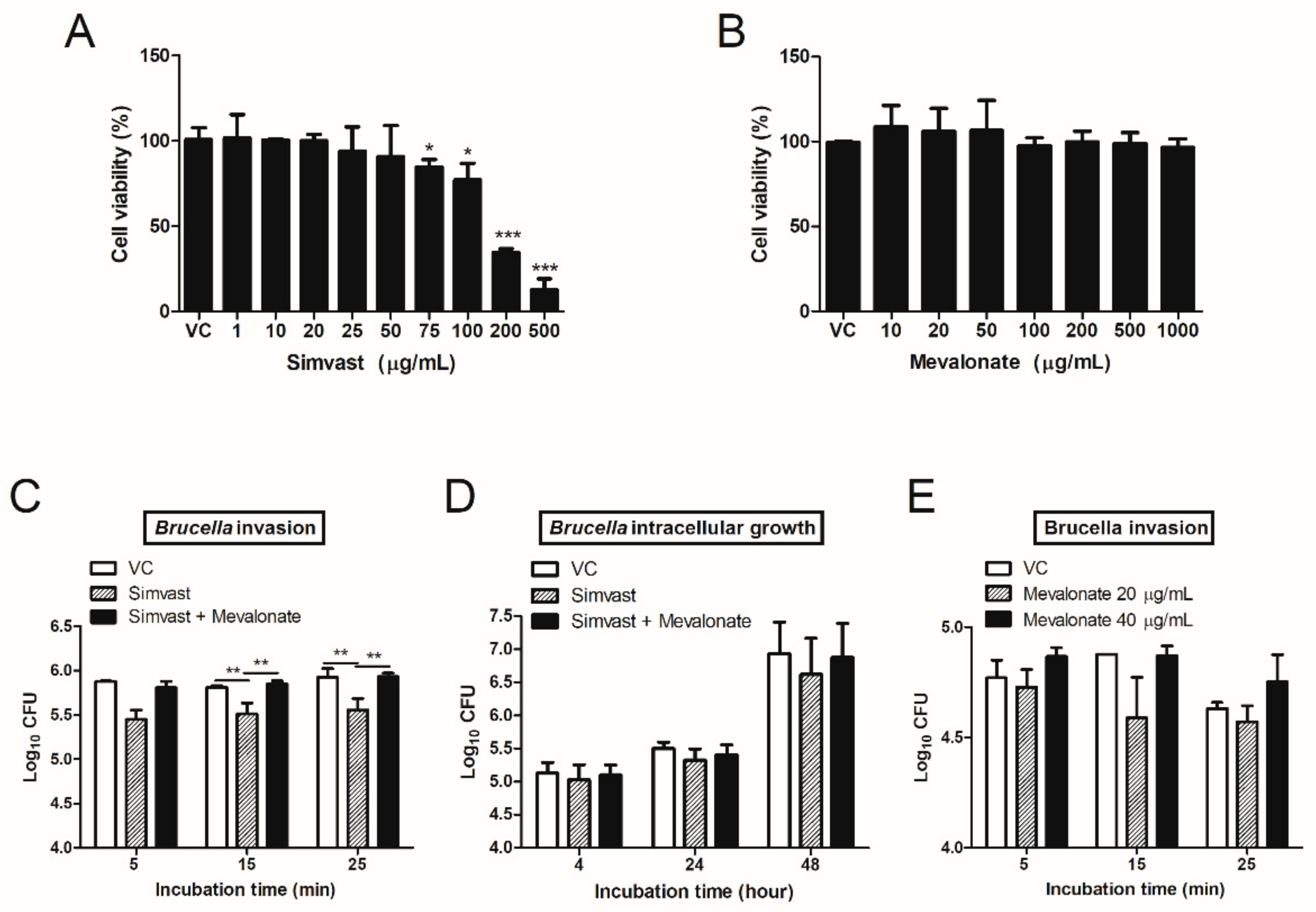 IJMS | Free Full-Text | Simvastatin Inhibits Brucella Abortus Invasion ...