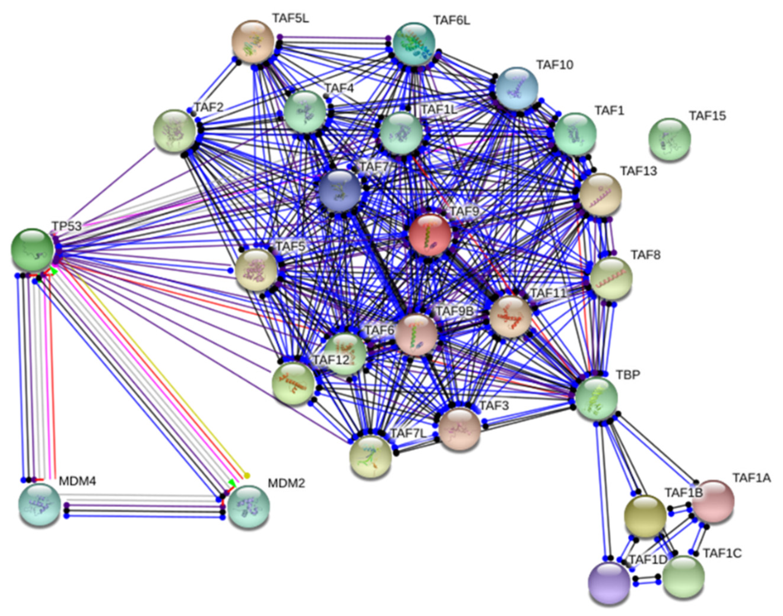 Ijms 23 08359 g003 Ijms 23 08359 g003