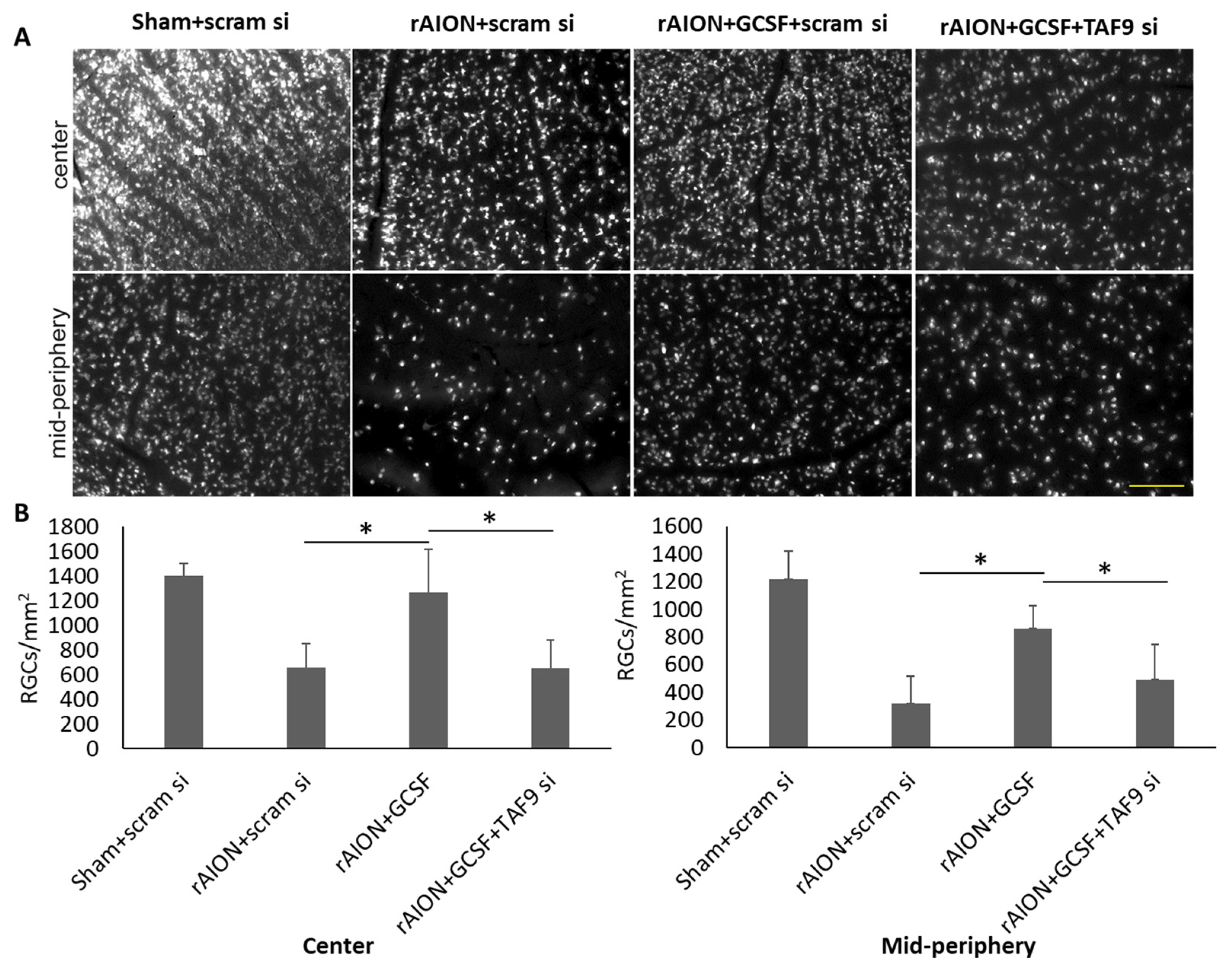 Ijms 23 08359 g005 Ijms 23 08359 g005