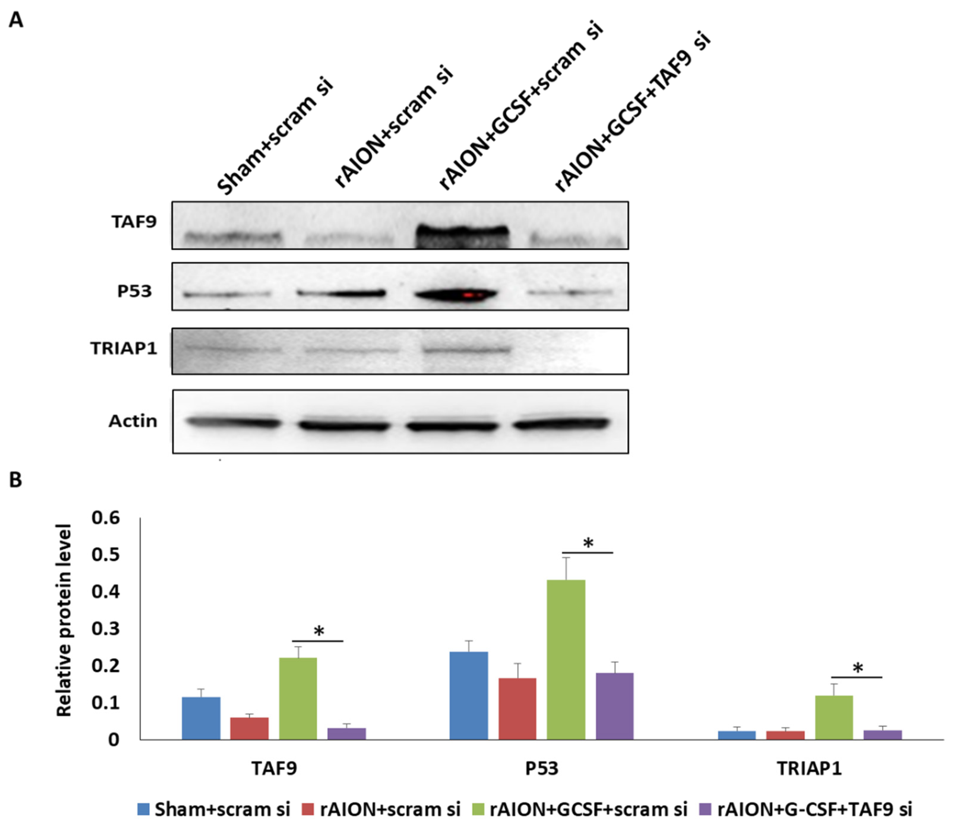 Ijms 23 08359 g007 Ijms 23 08359 g007