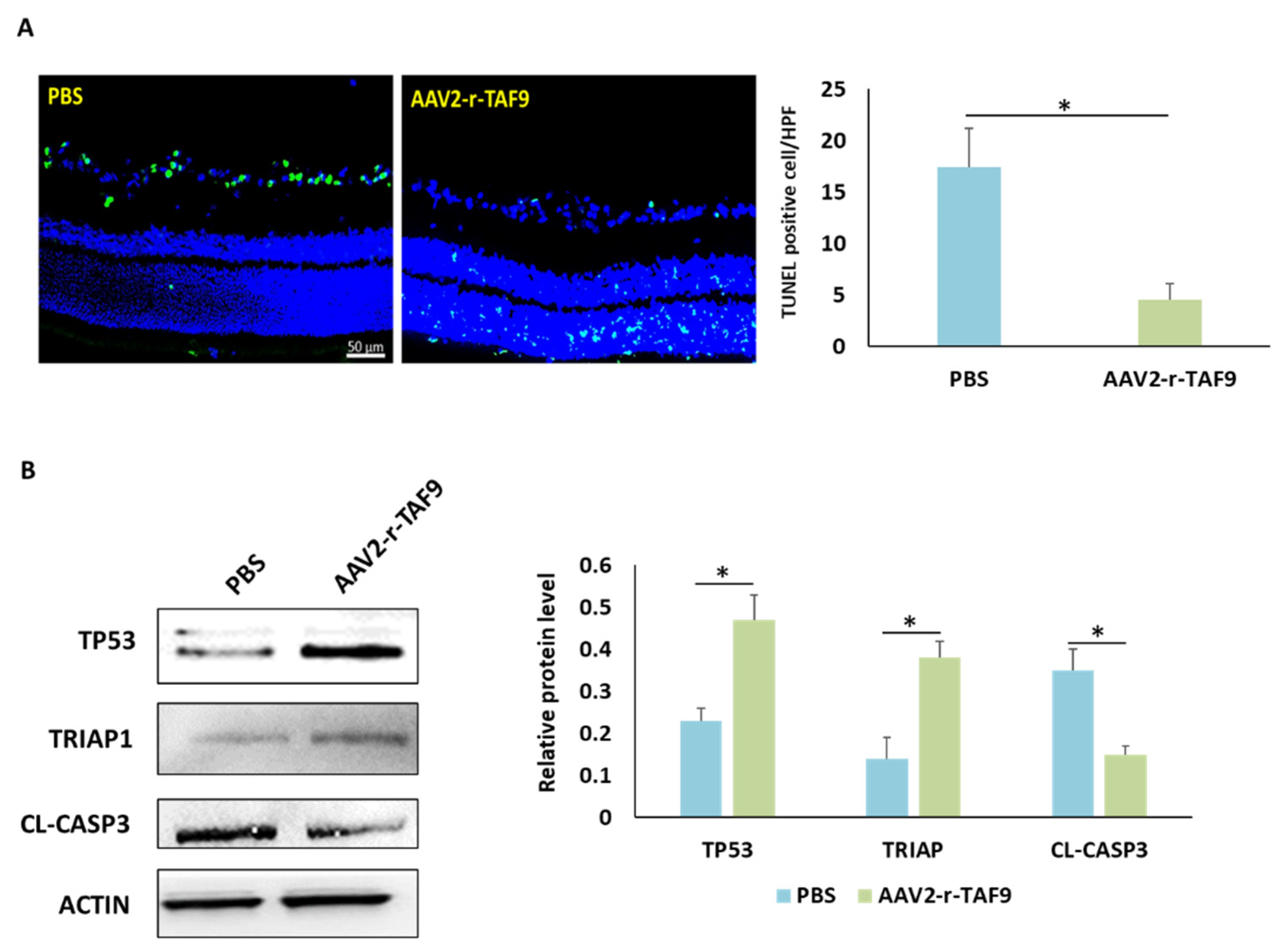 Ijms 23 08359 g008 Ijms 23 08359 g008