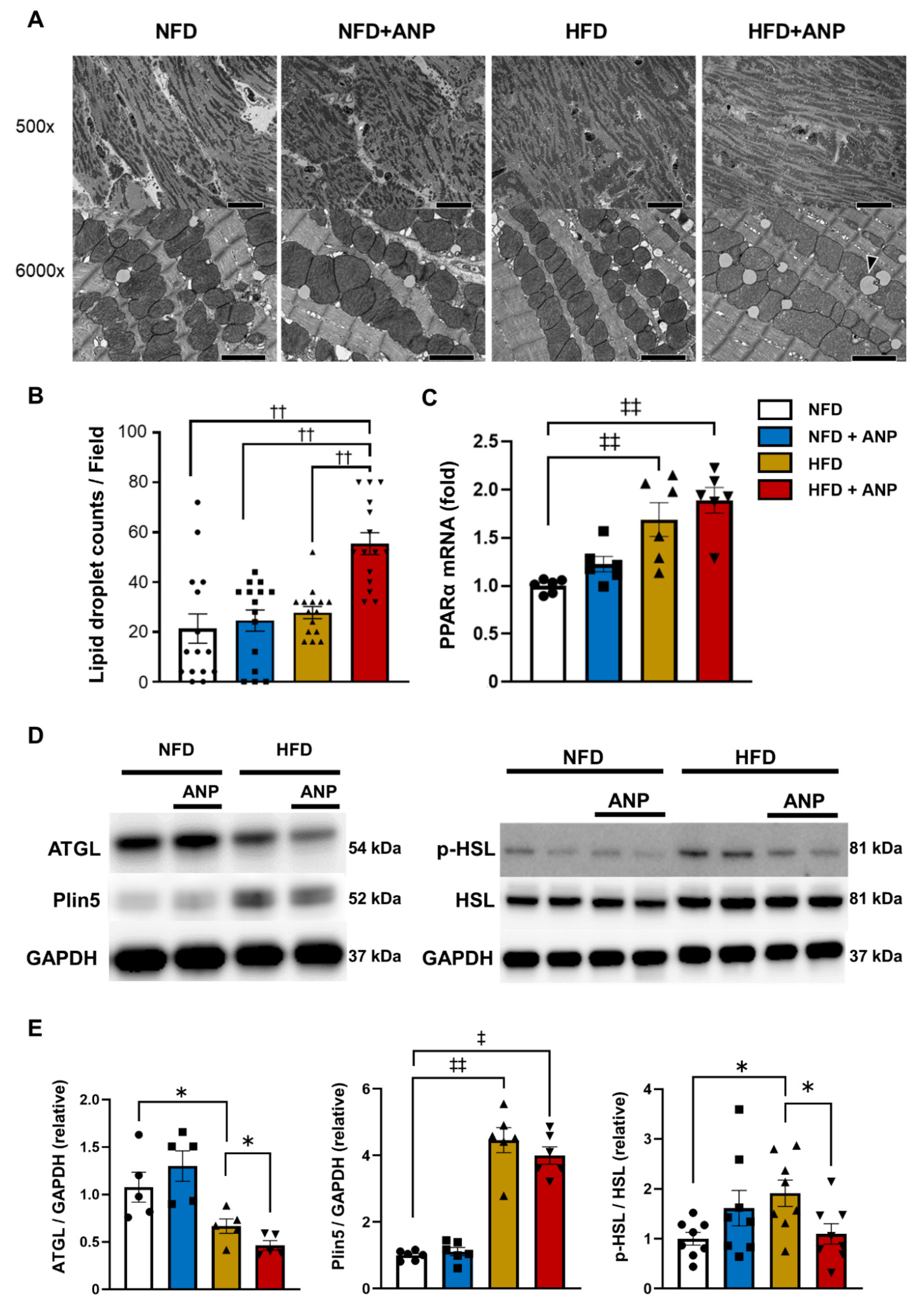 Ijms 23 08373 g005 Ijms 23 08373 g005
