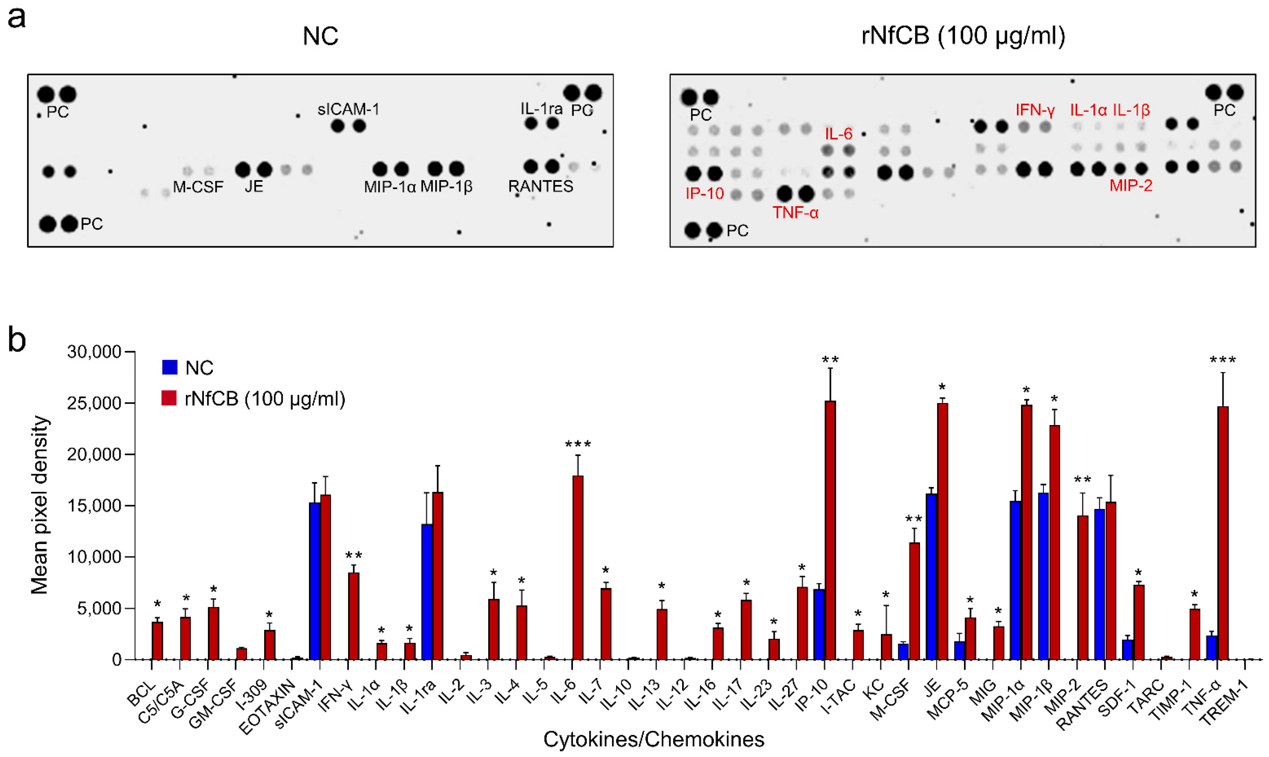 Ijms 23 08388 g002 Ijms 23 08388 g002