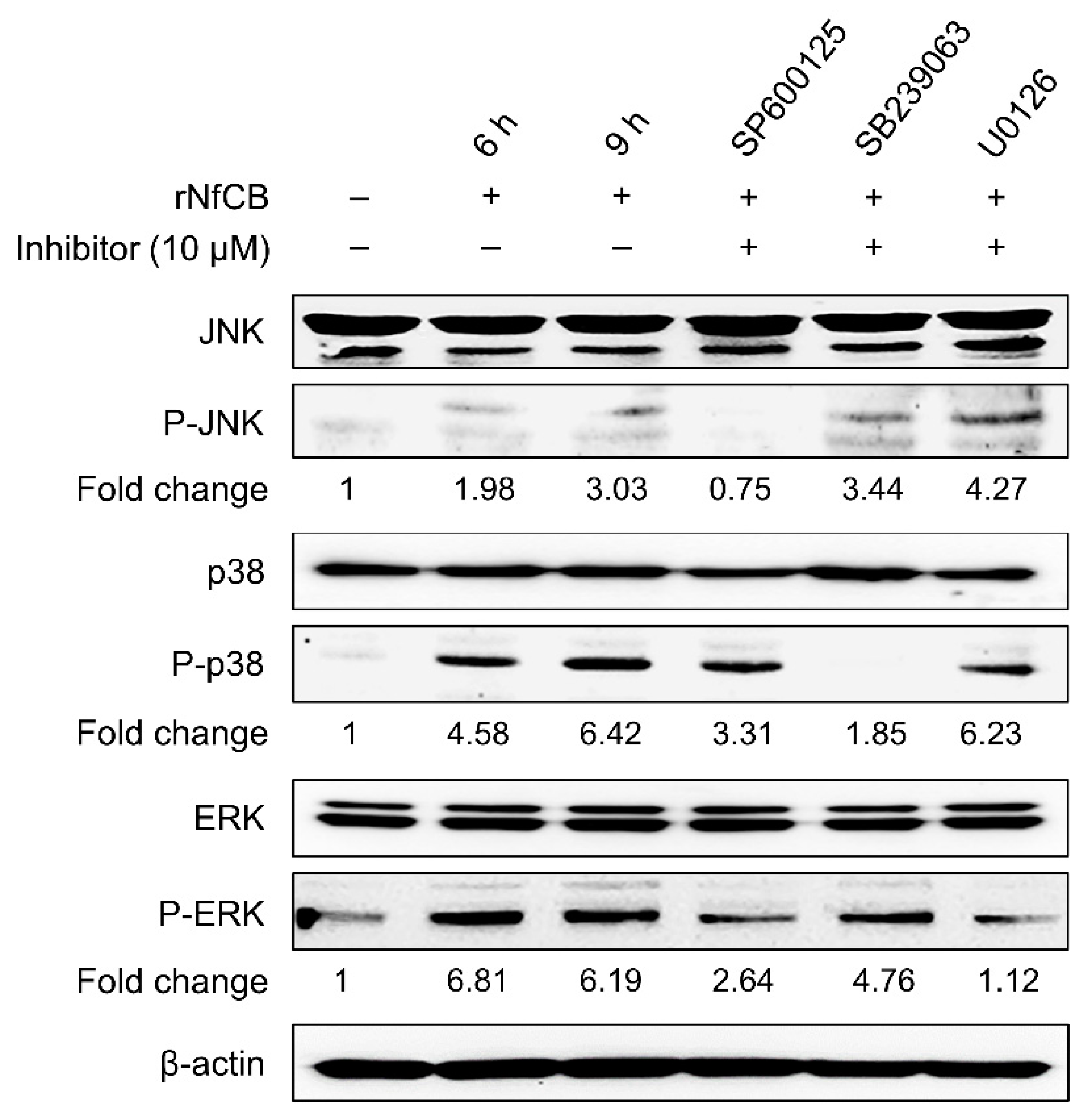 Ijms 23 08388 g005 Ijms 23 08388 g005