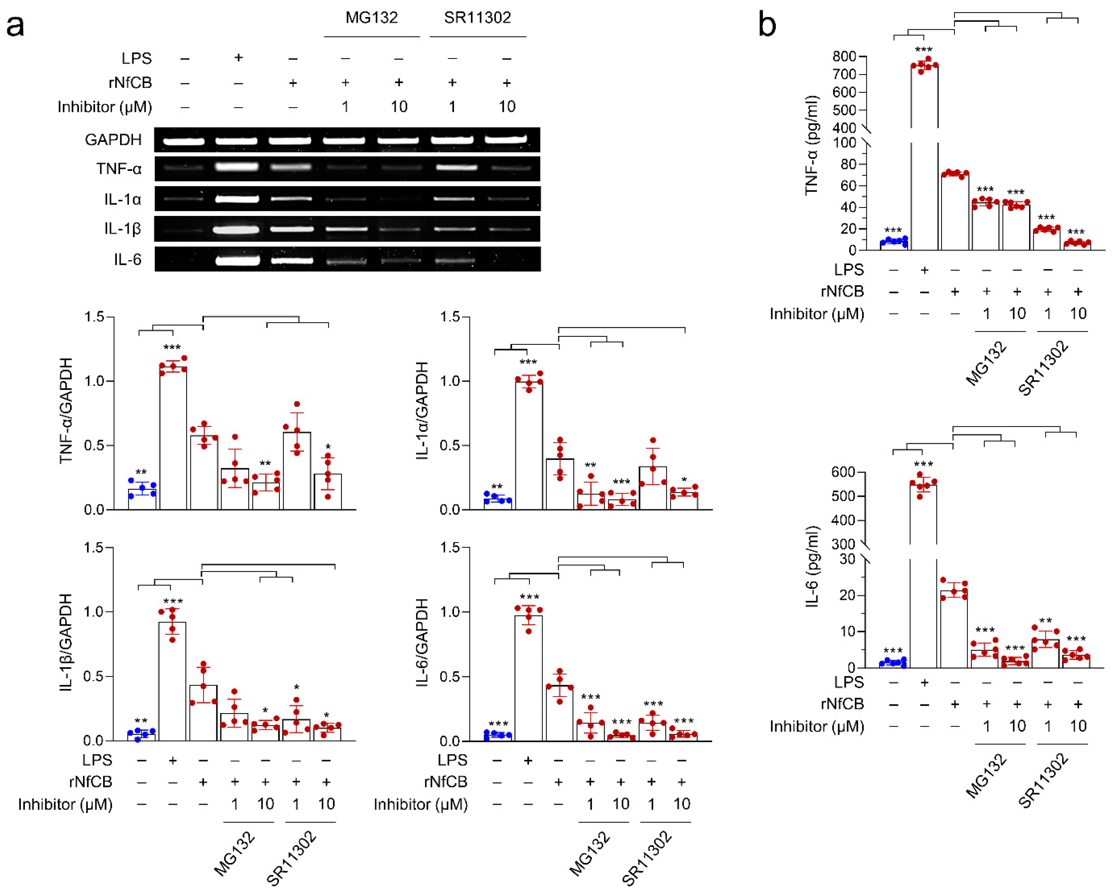 Ijms 23 08388 g006 Ijms 23 08388 g006