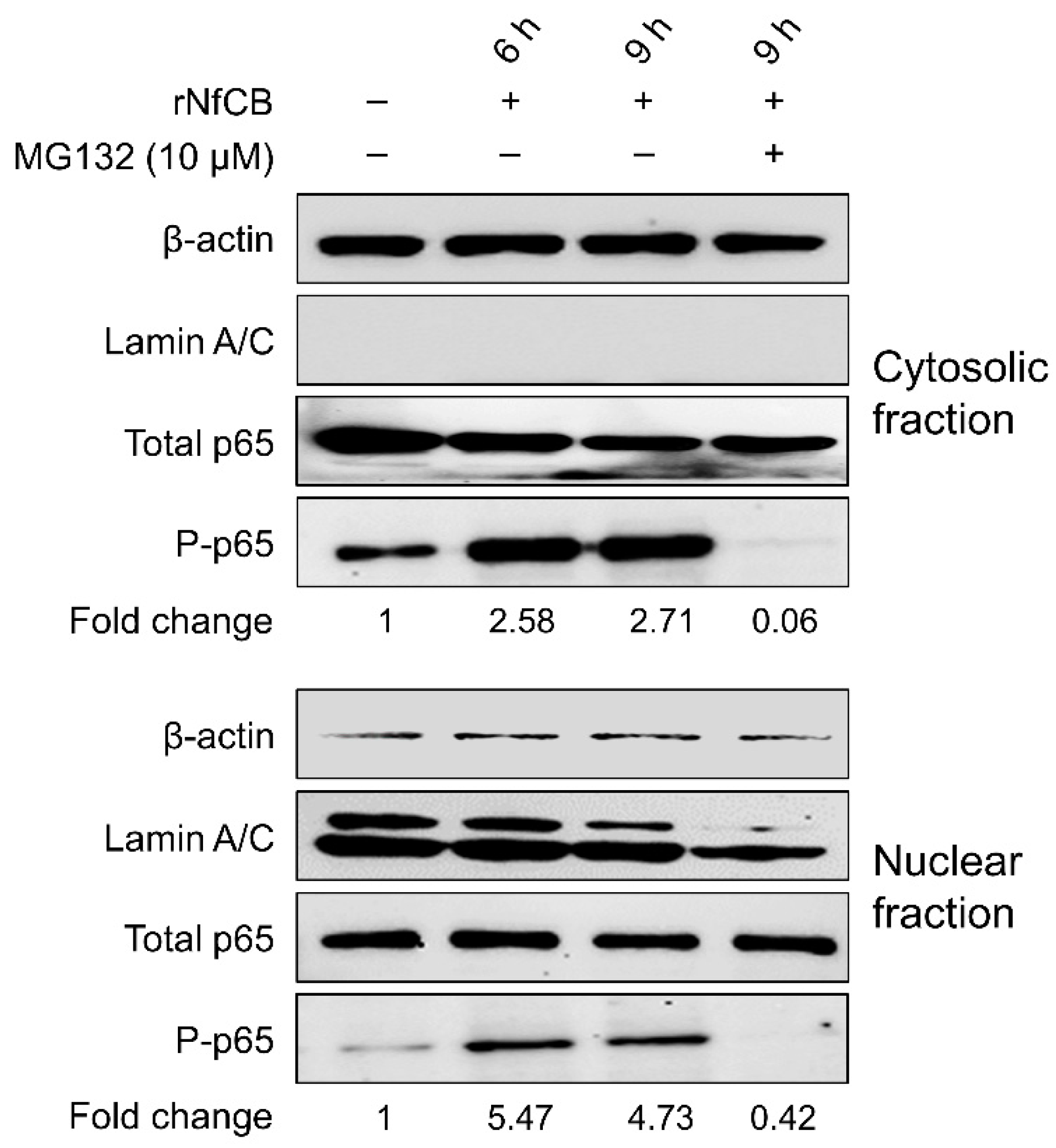 Ijms 23 08388 g007 Ijms 23 08388 g007