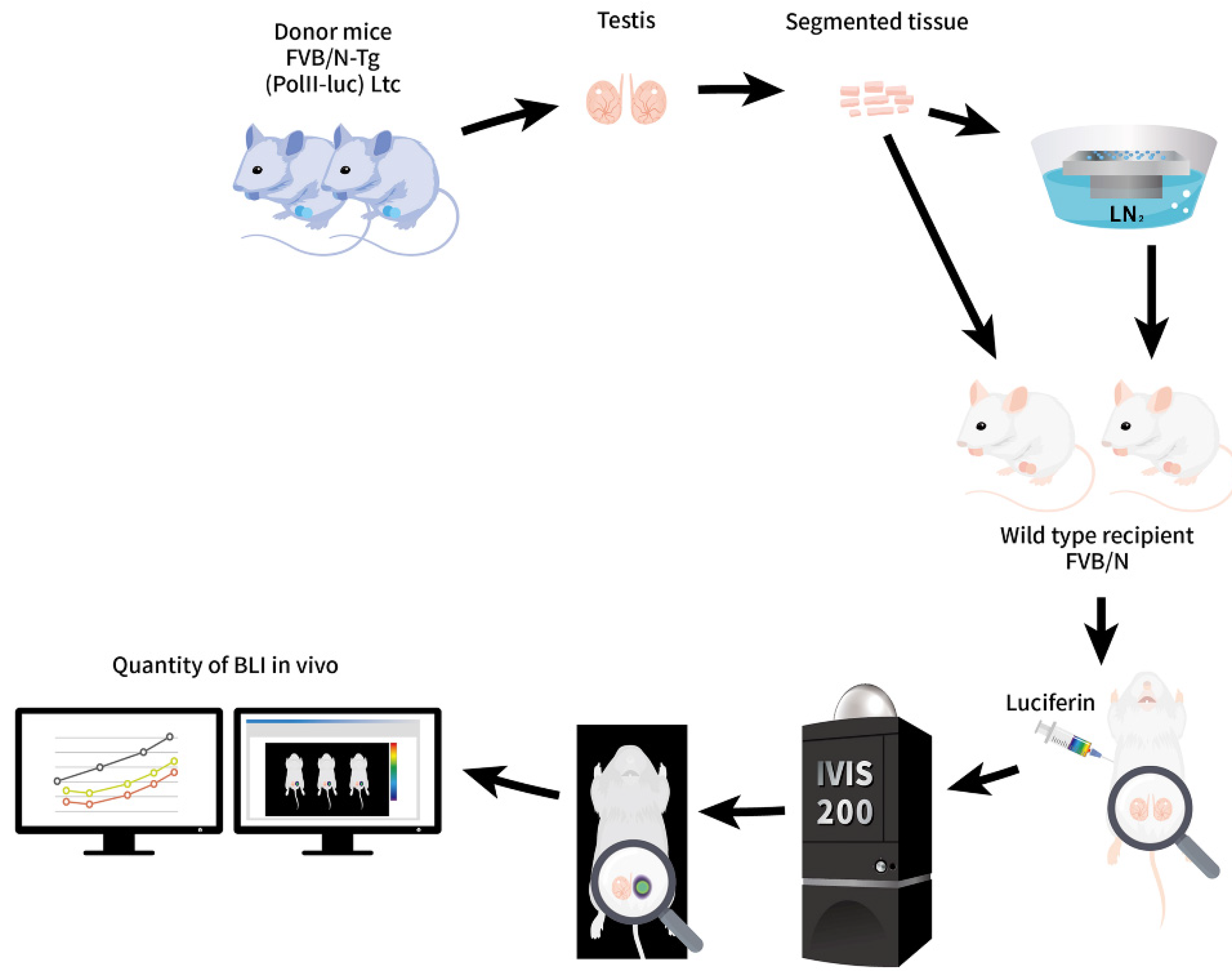 Ijms 23 08425 g001 Ijms 23 08425 g001