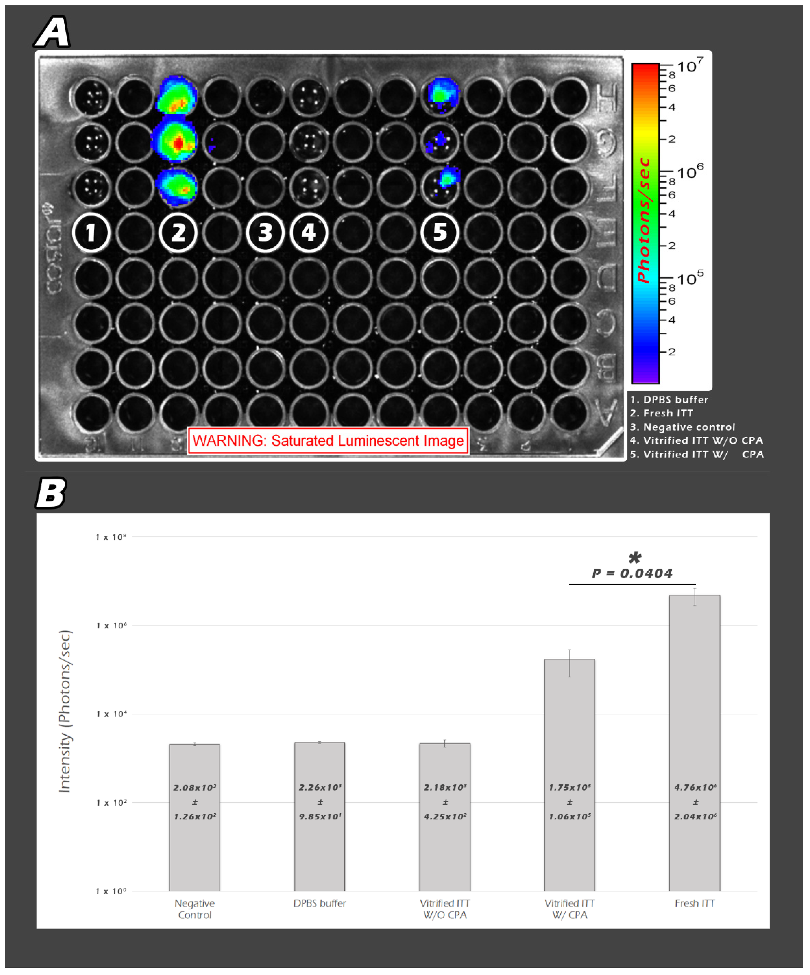 Ijms 23 08425 g003 Ijms 23 08425 g003