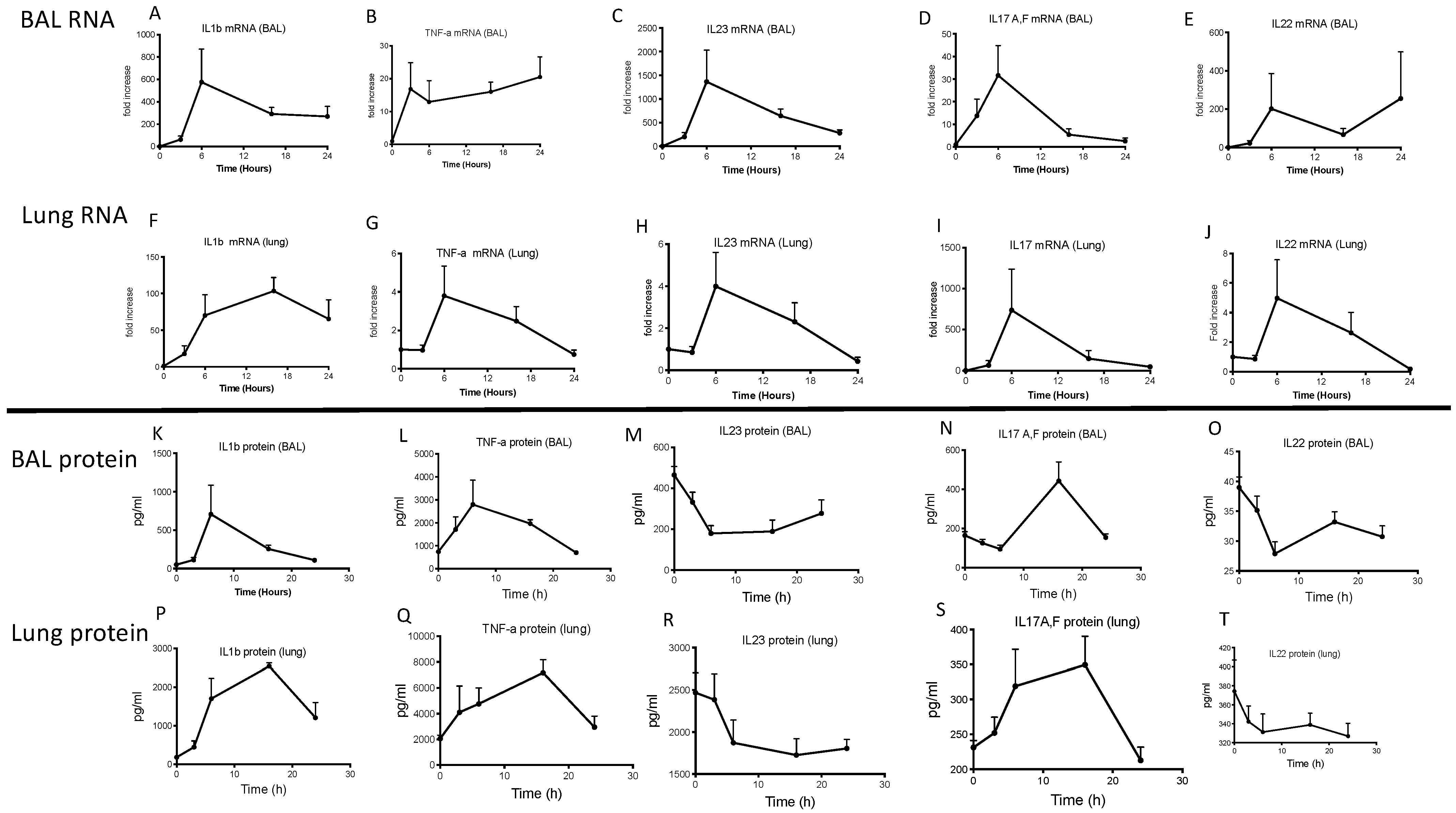 Ijms 23 08427 g006 Ijms 23 08427 g006
