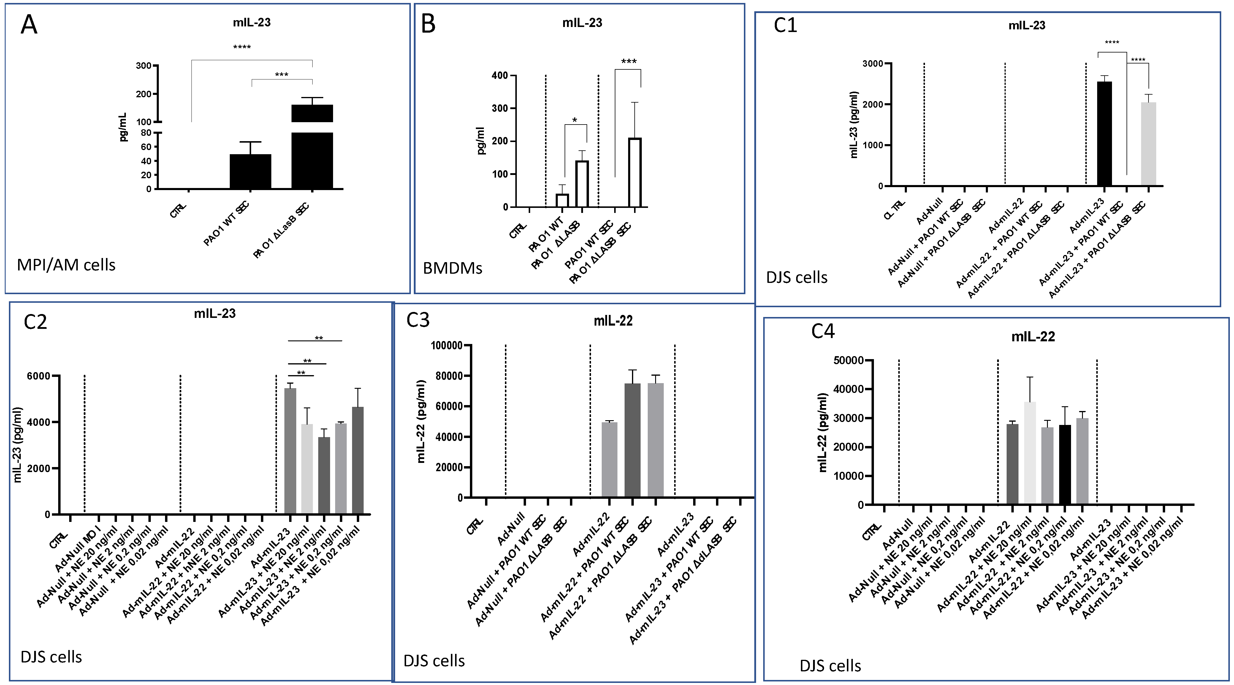 Ijms 23 08427 g007 Ijms 23 08427 g007