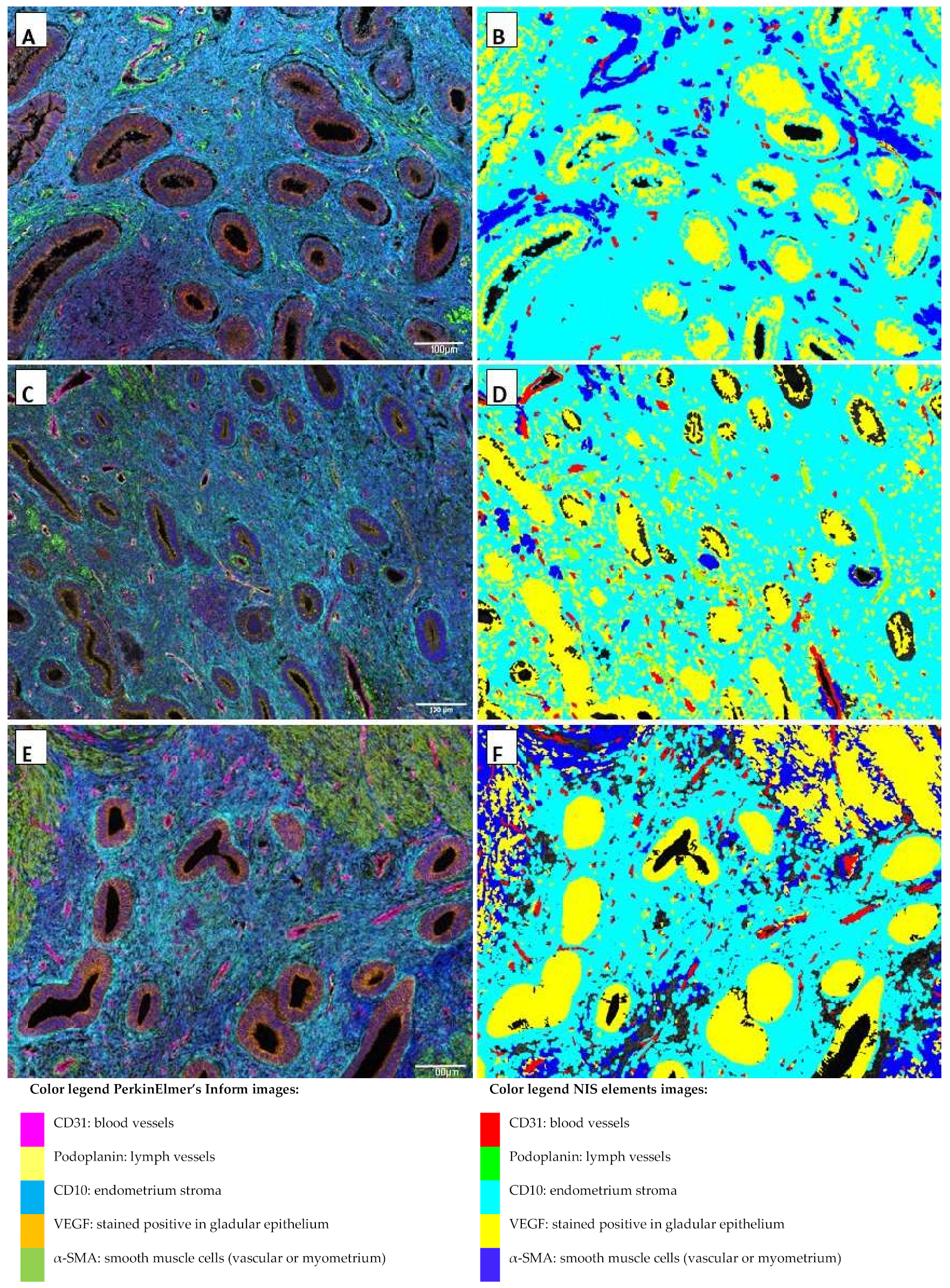 Ijms 23 08434 g001 Ijms 23 08434 g001