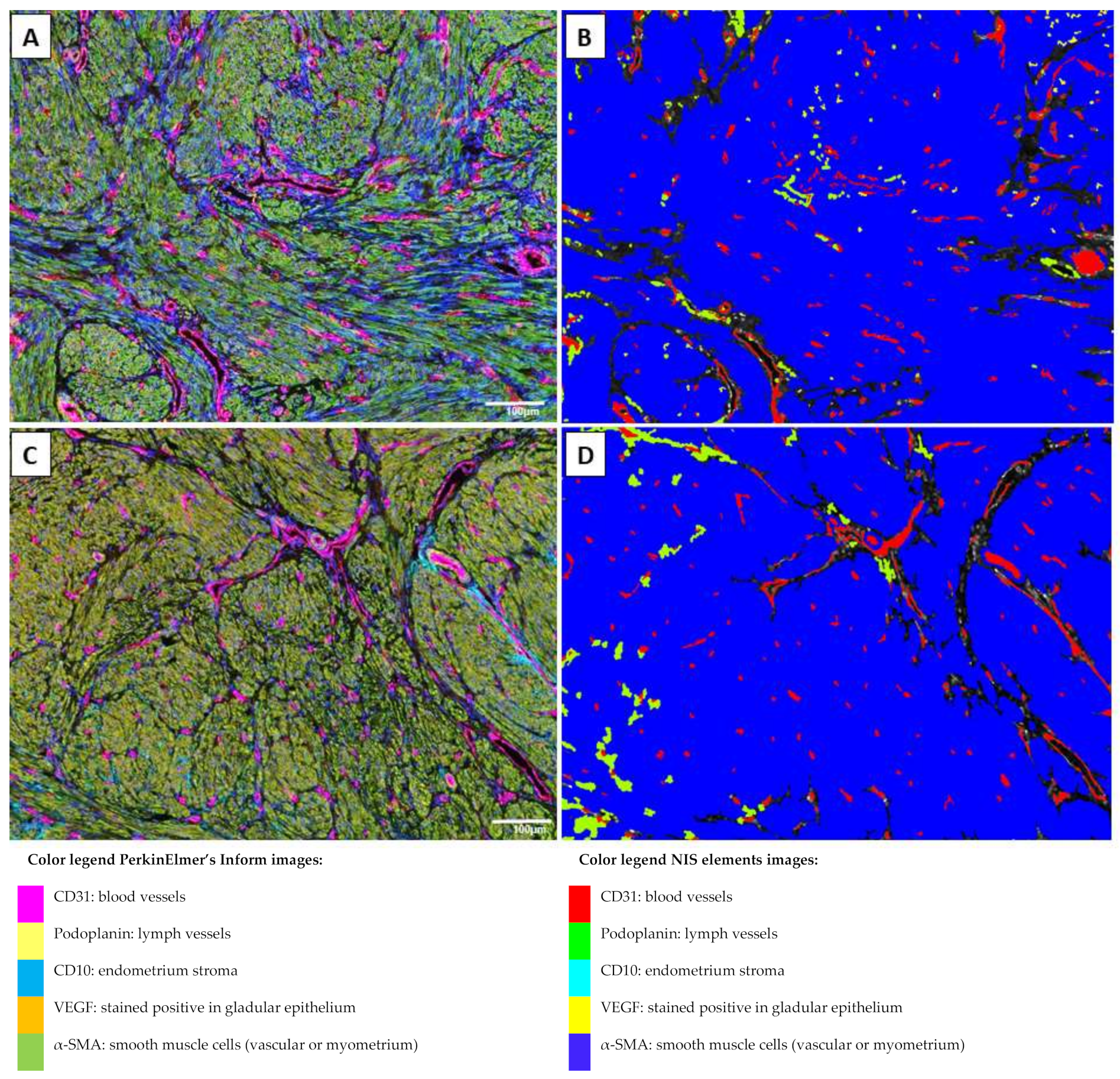 Ijms 23 08434 g002 Ijms 23 08434 g002
