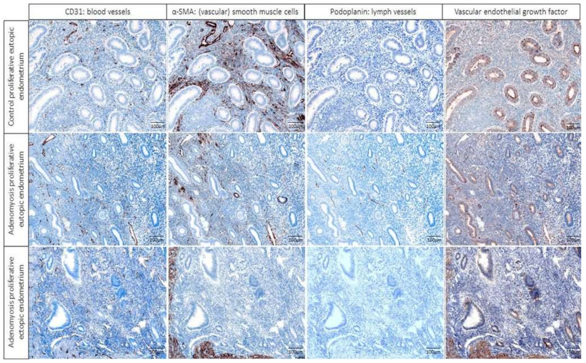 Ijms 23 08434 g003 Ijms 23 08434 g003