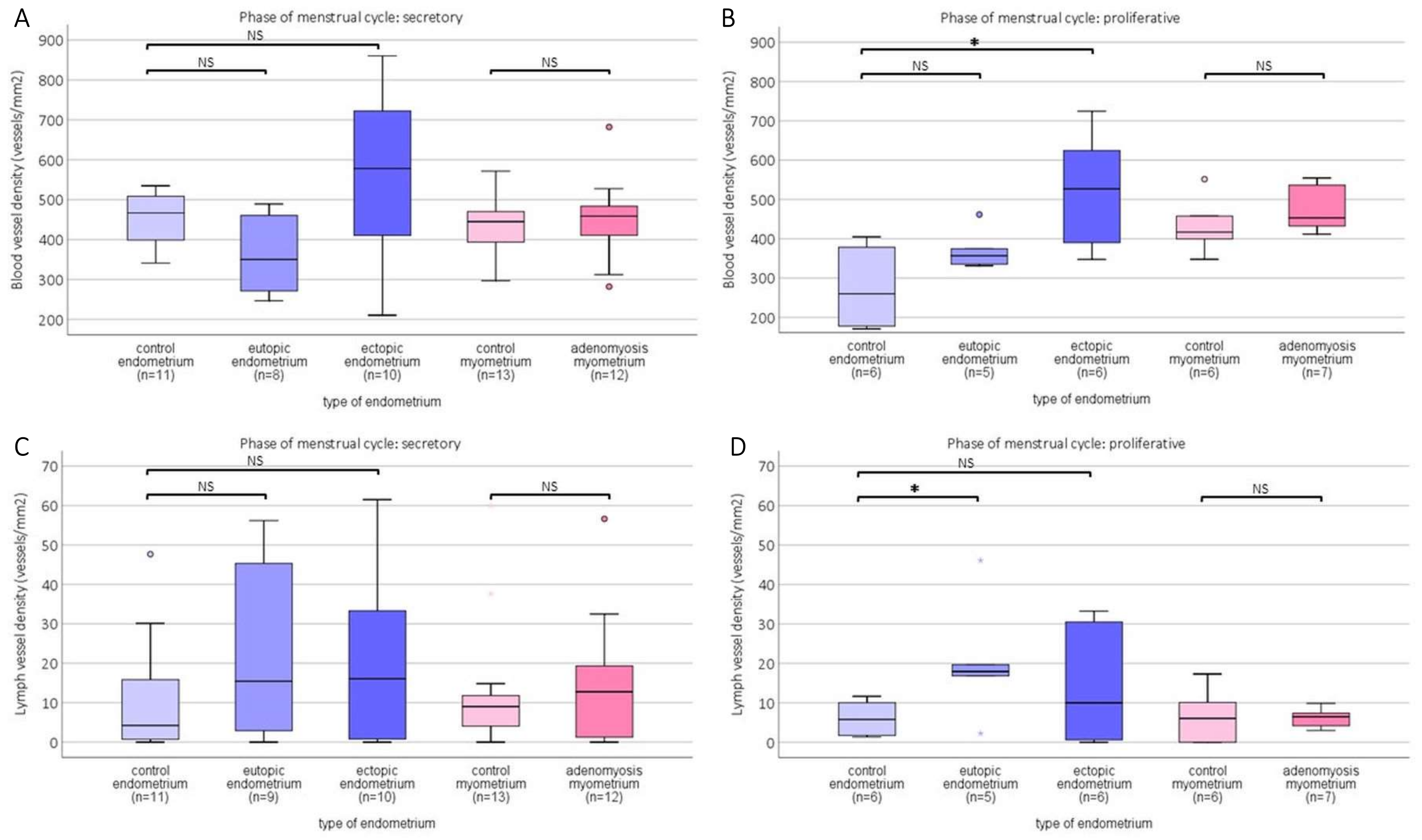 Ijms 23 08434 g006 Ijms 23 08434 g006