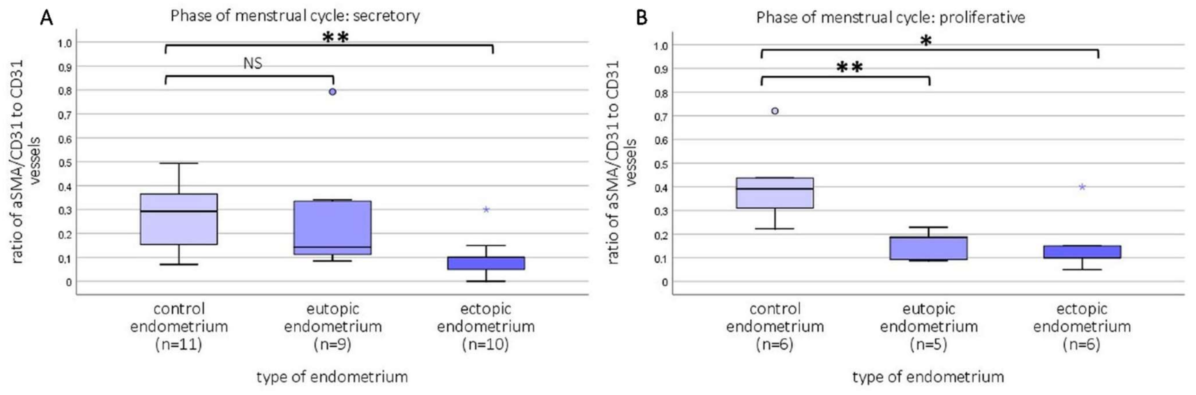 Ijms 23 08434 g007 Ijms 23 08434 g007