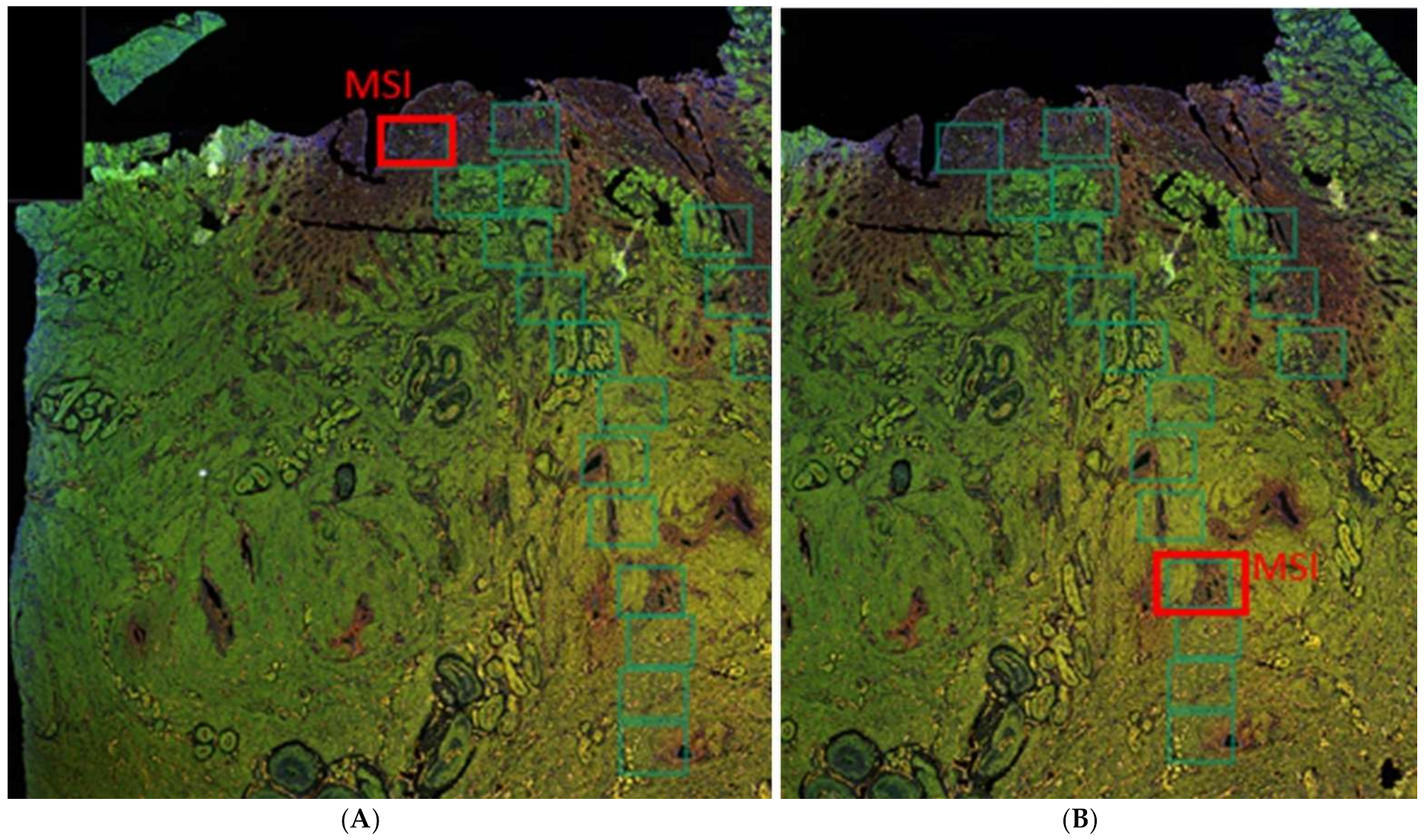 Ijms 23 08434 g009 Ijms 23 08434 g009