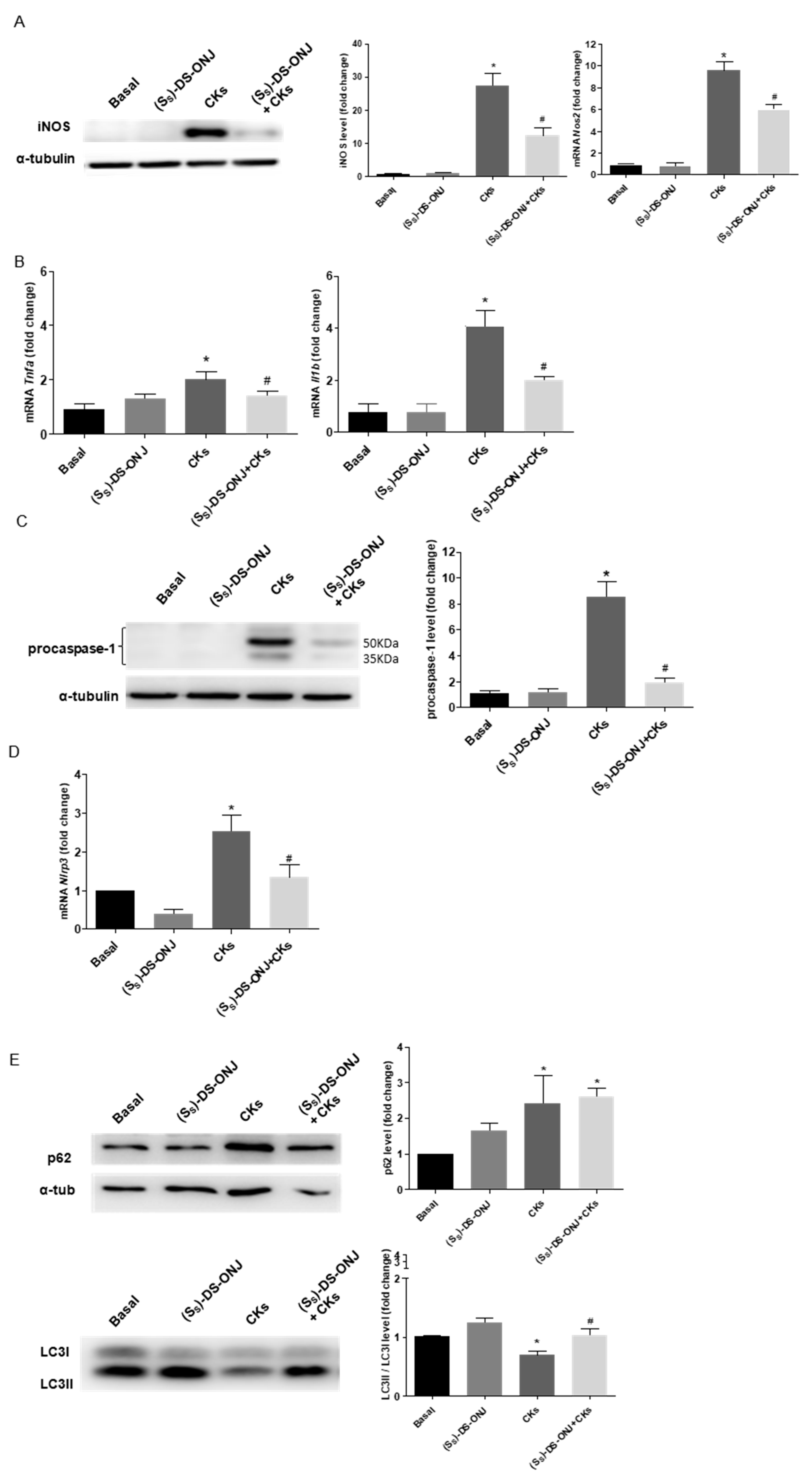 Ijms 23 08450 g002a Ijms 23 08450 g002a