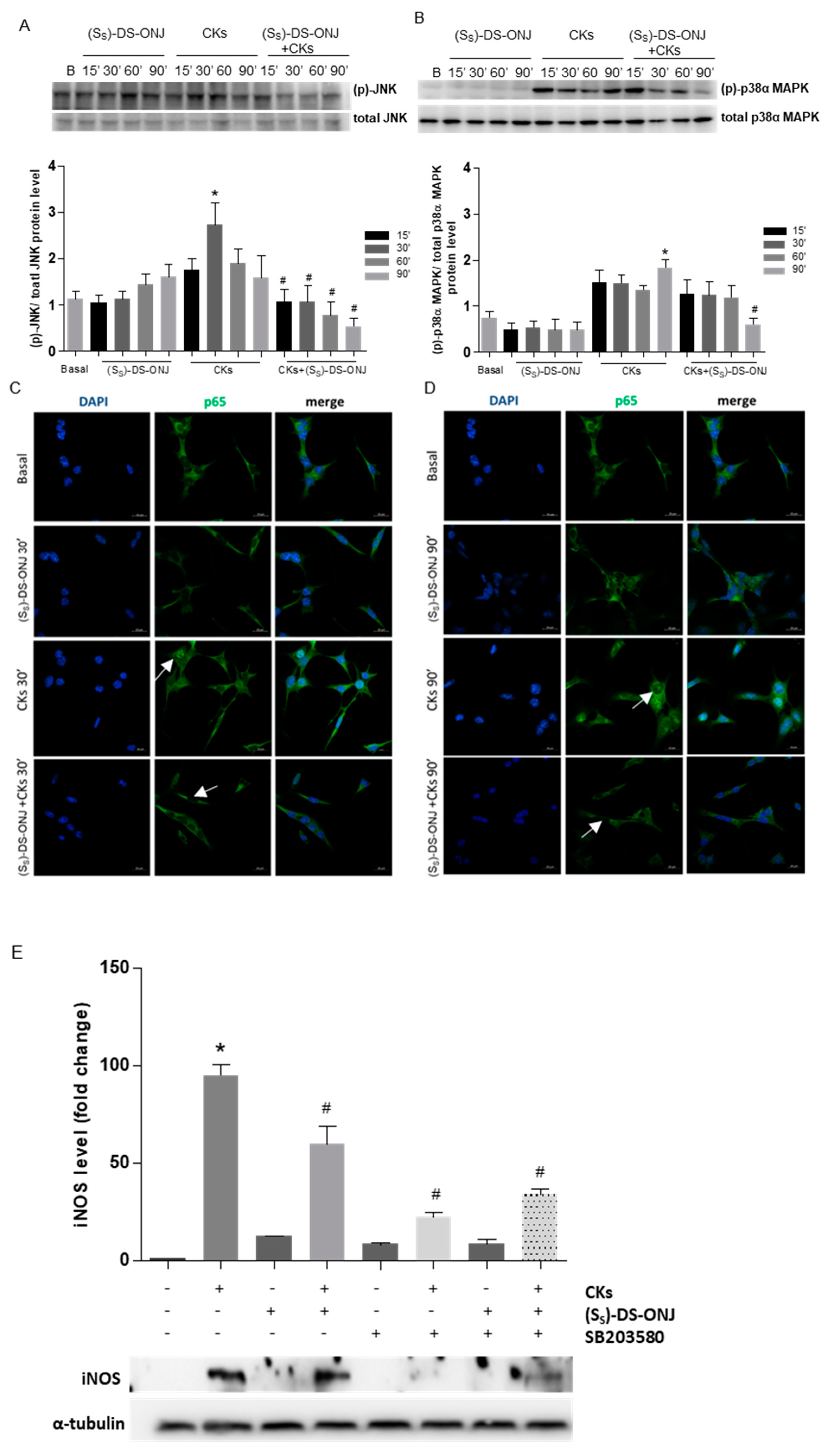 Ijms 23 08450 g003 Ijms 23 08450 g003