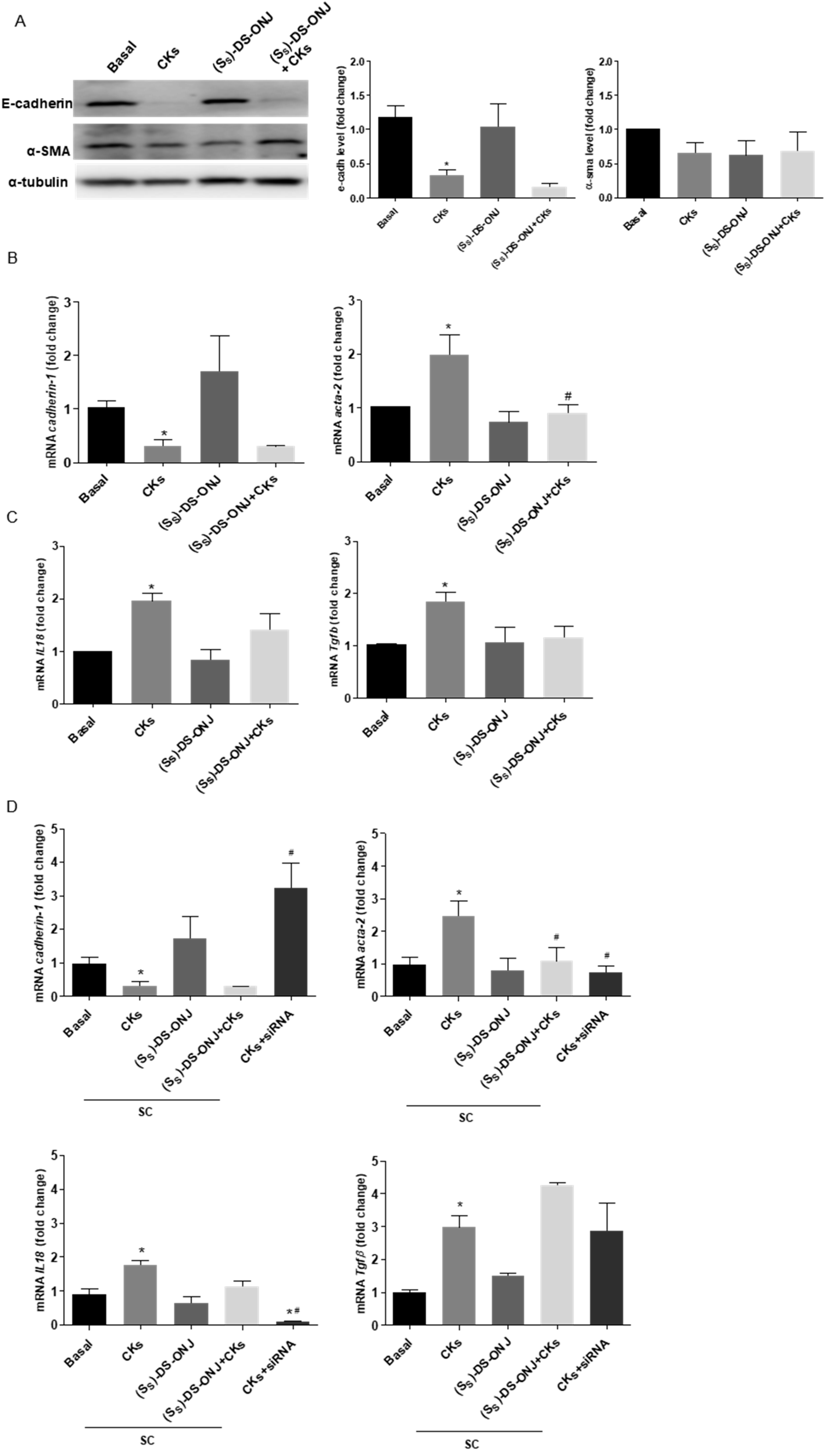 Ijms 23 08450 g004a Ijms 23 08450 g004a