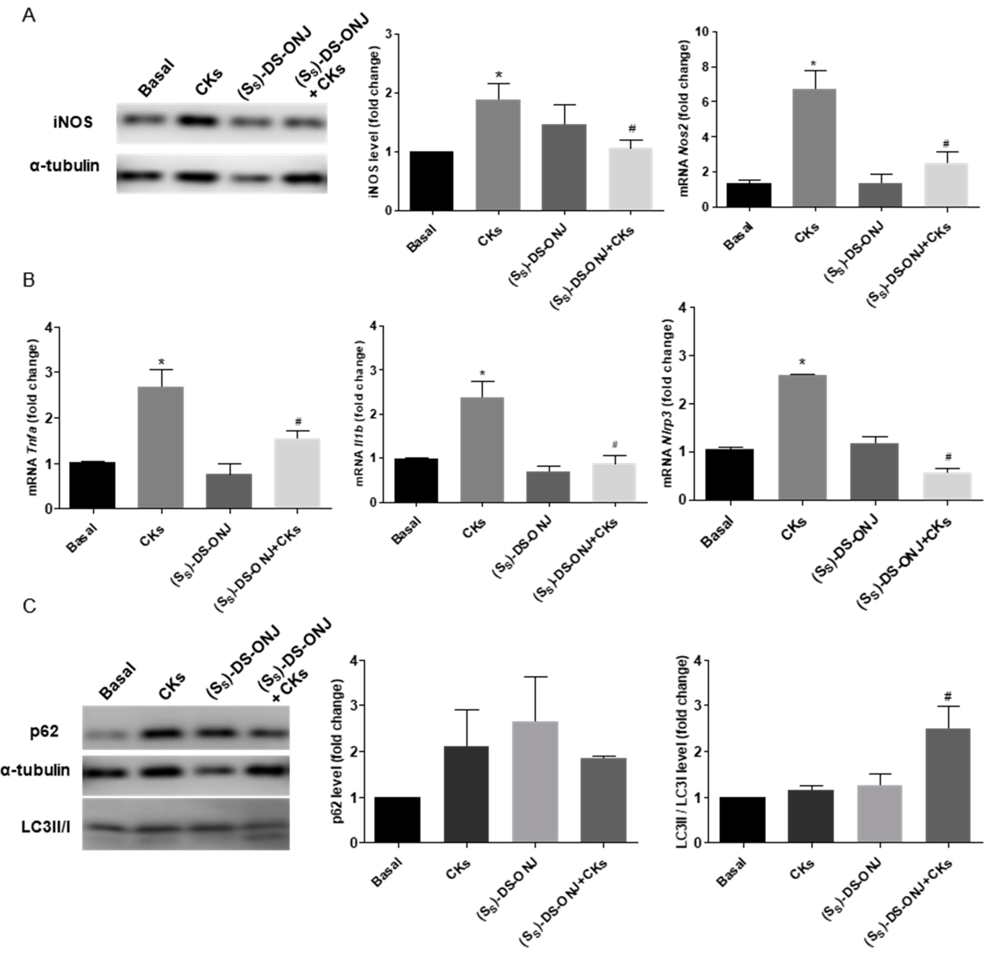 Ijms 23 08450 g005 Ijms 23 08450 g005