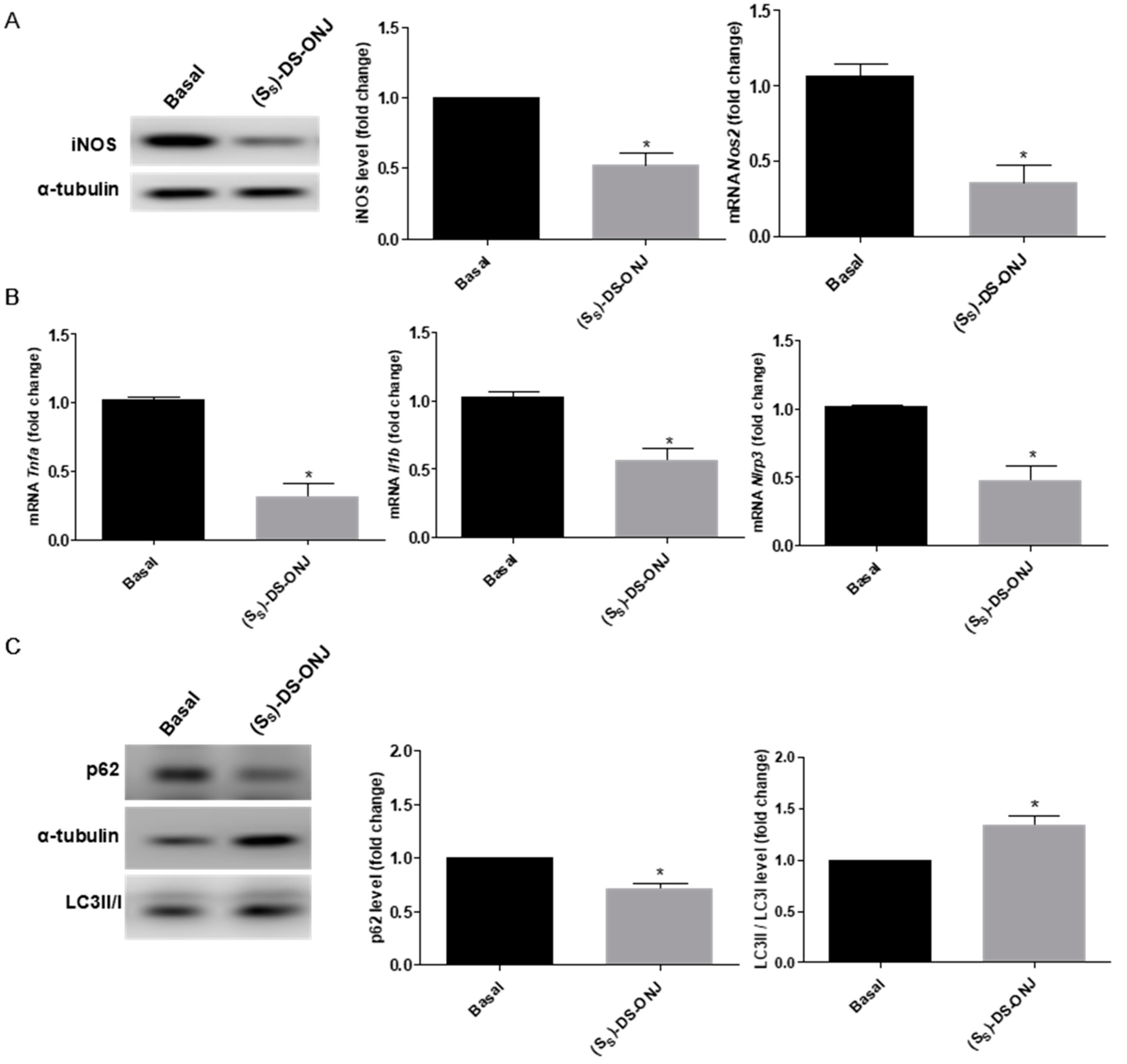 Ijms 23 08450 g007 Ijms 23 08450 g007
