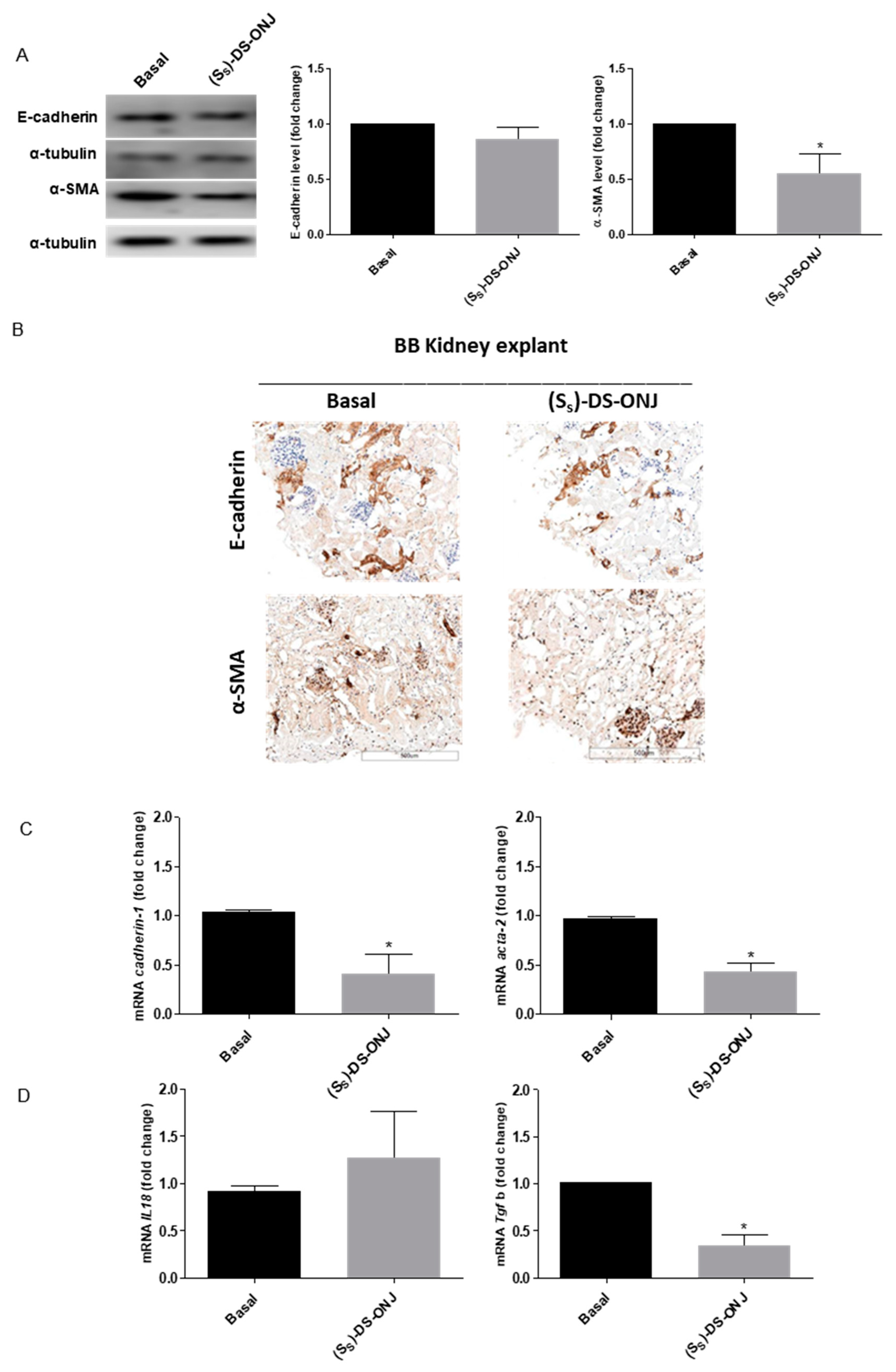 Ijms 23 08450 g008a Ijms 23 08450 g008a