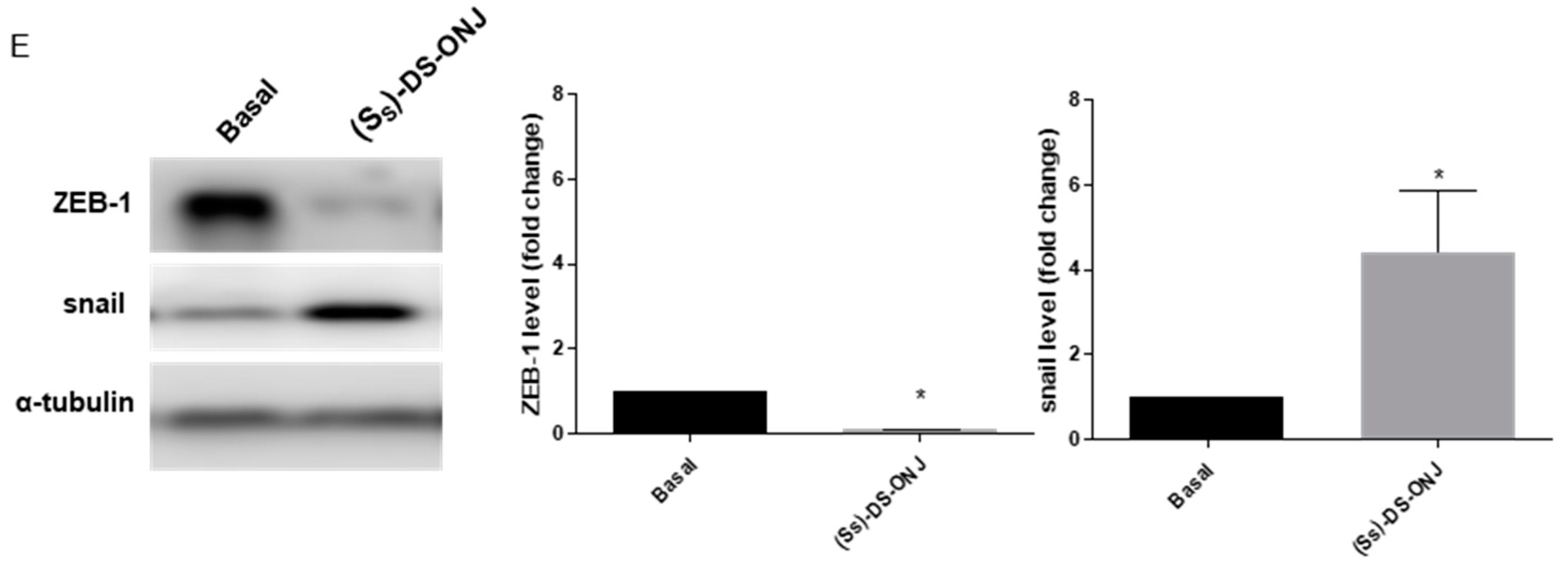 Ijms 23 08450 g008b Ijms 23 08450 g008b