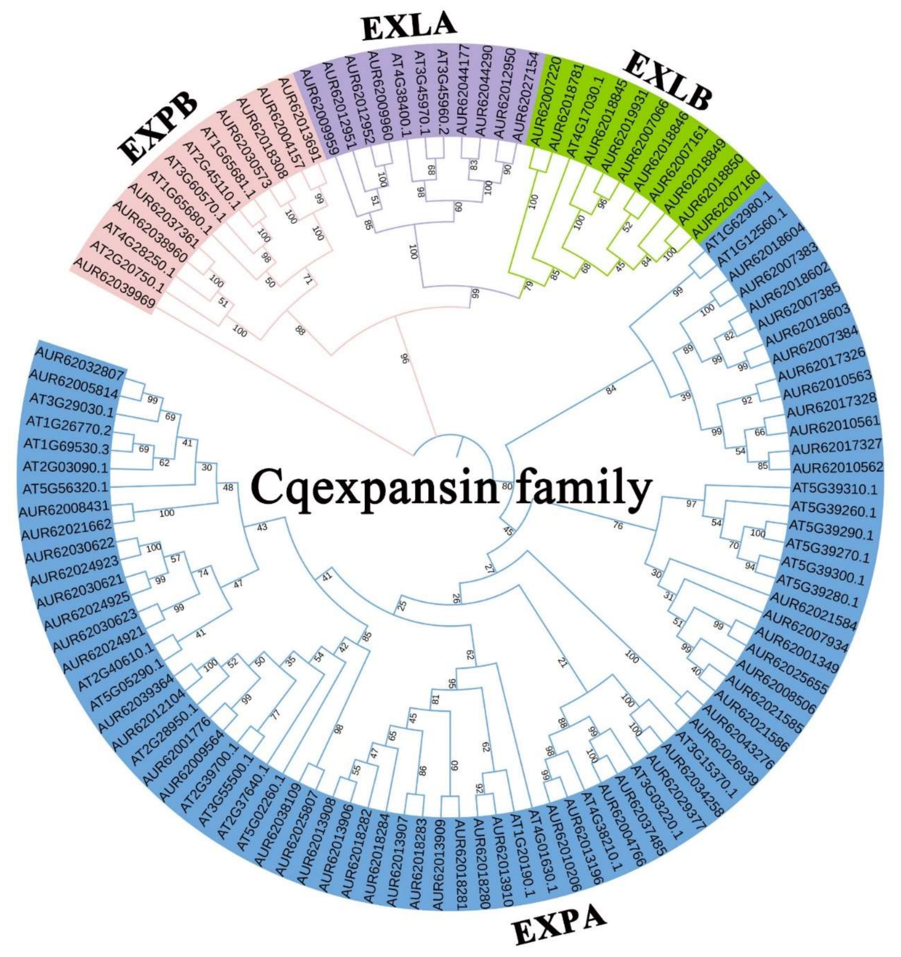 Ijms 23 08480 g002 Ijms 23 08480 g002