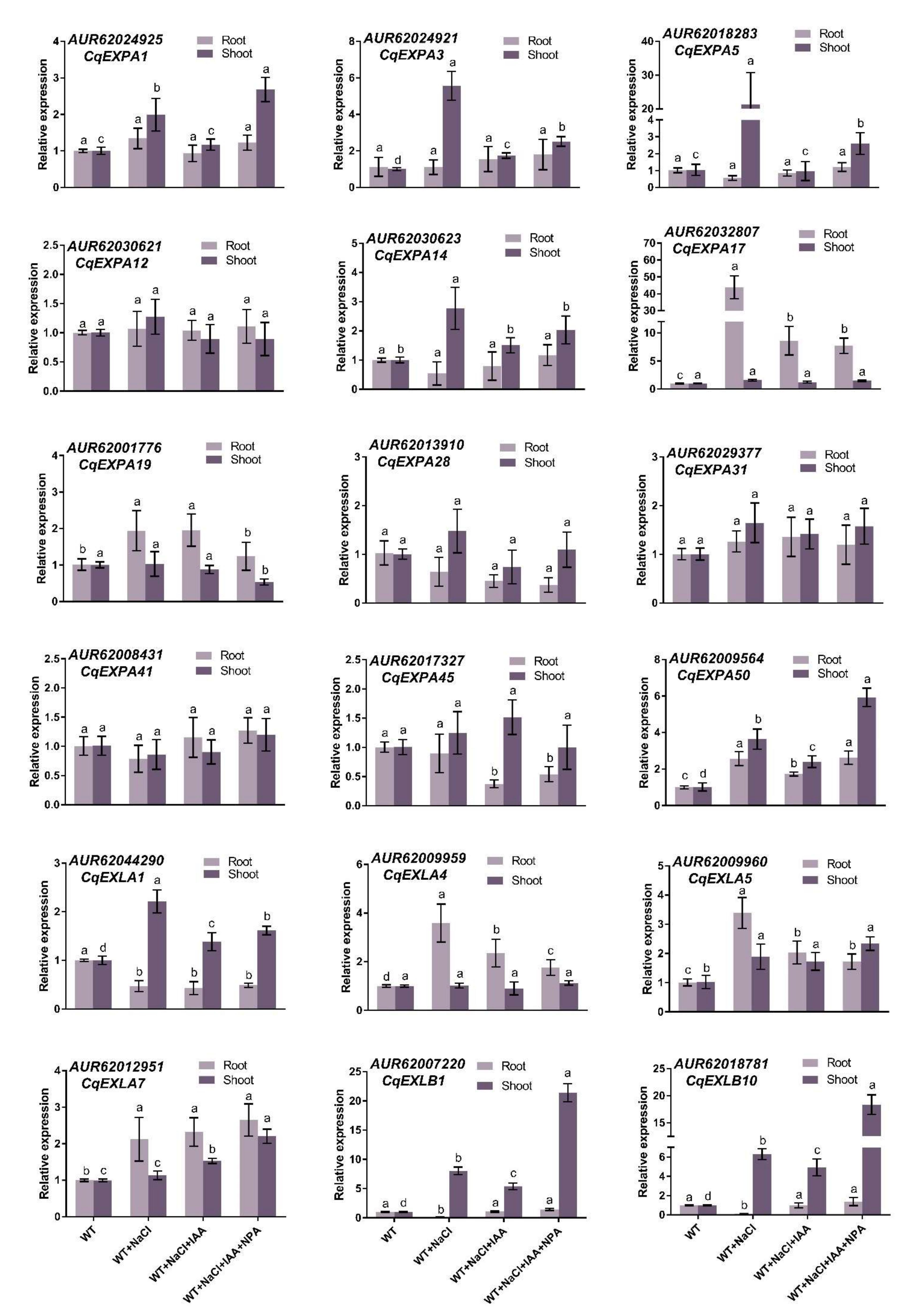 Ijms 23 08480 g003 Ijms 23 08480 g003