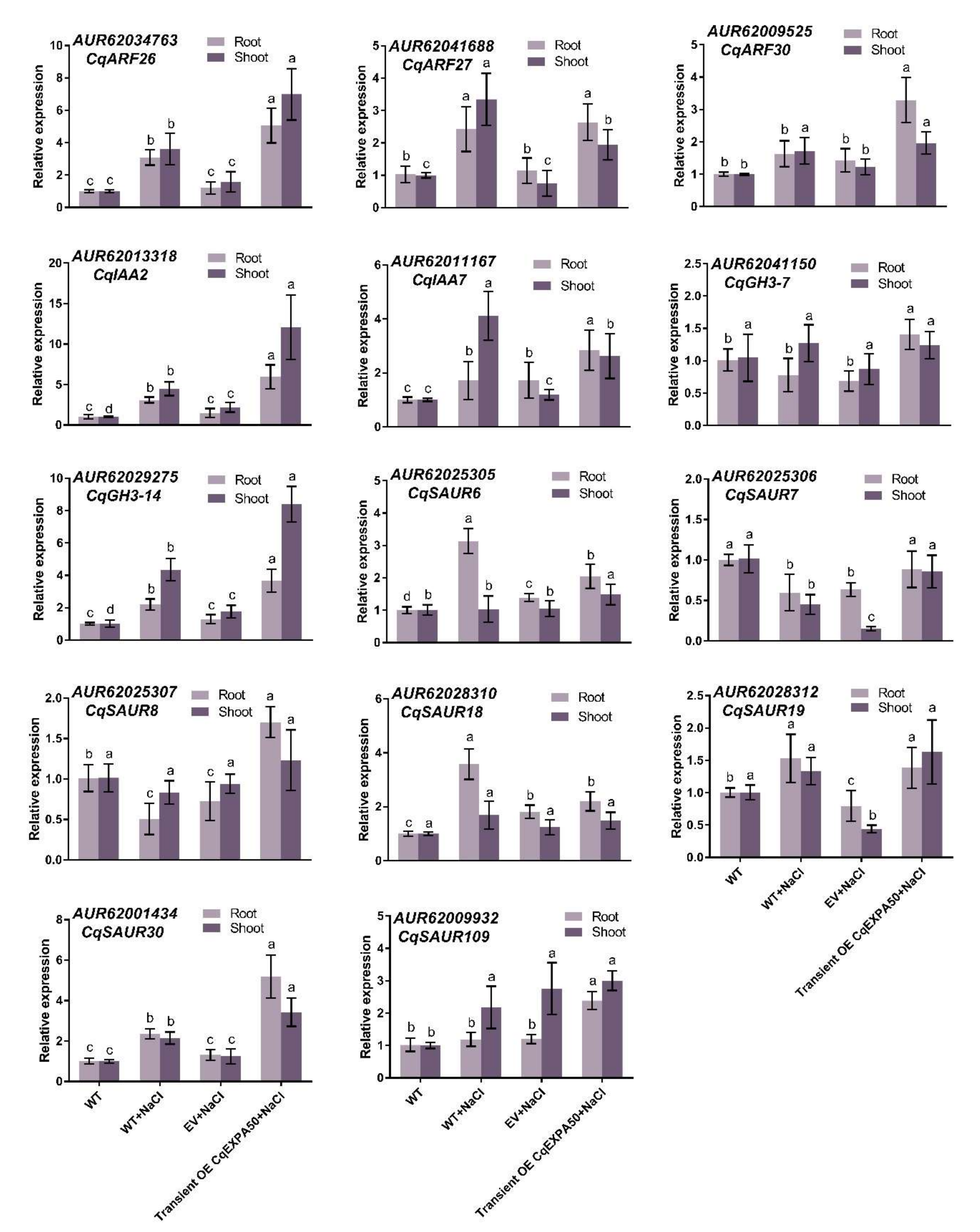 Ijms 23 08480 g005 Ijms 23 08480 g005