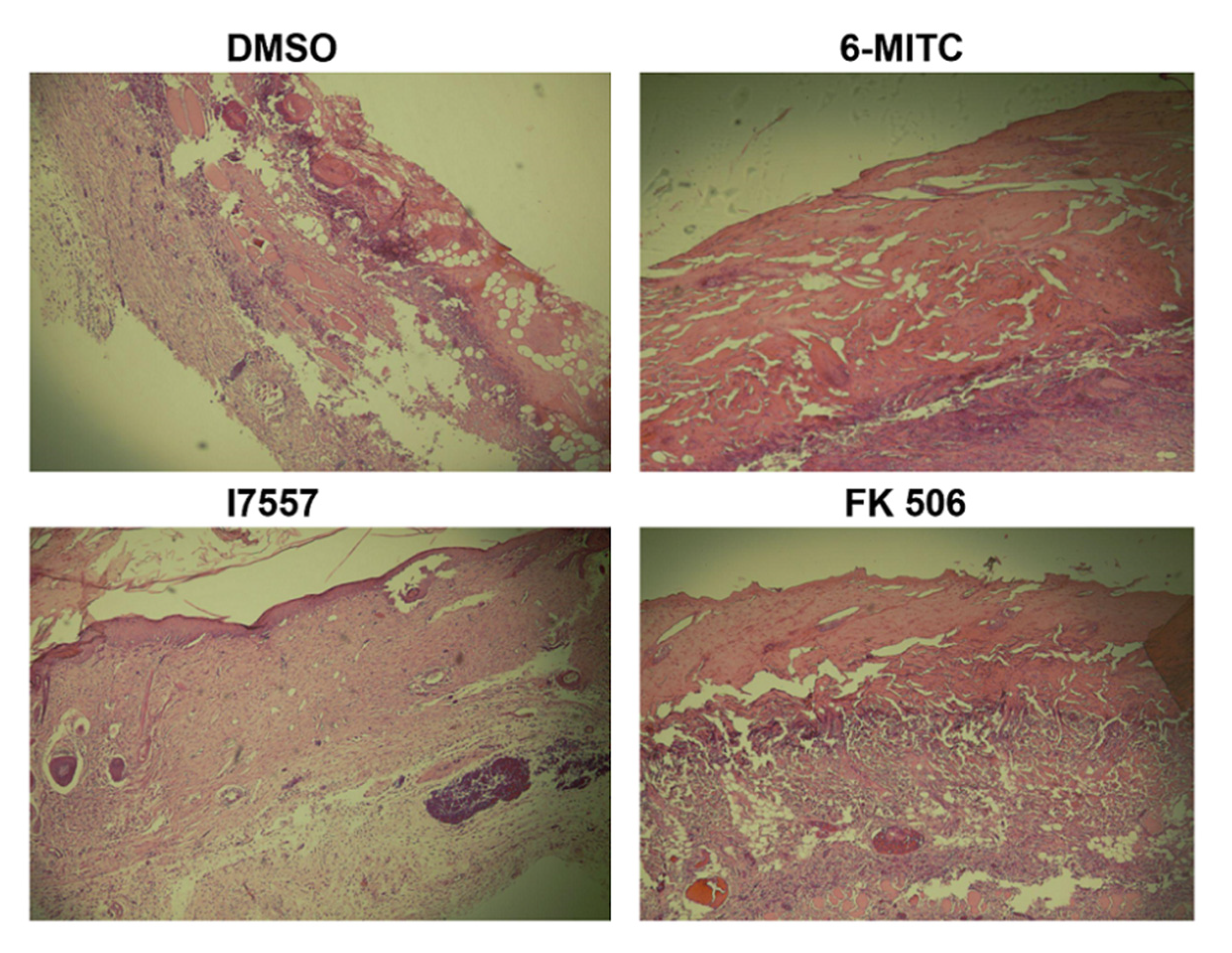 Ijms 23 08488 g007 Ijms 23 08488 g007