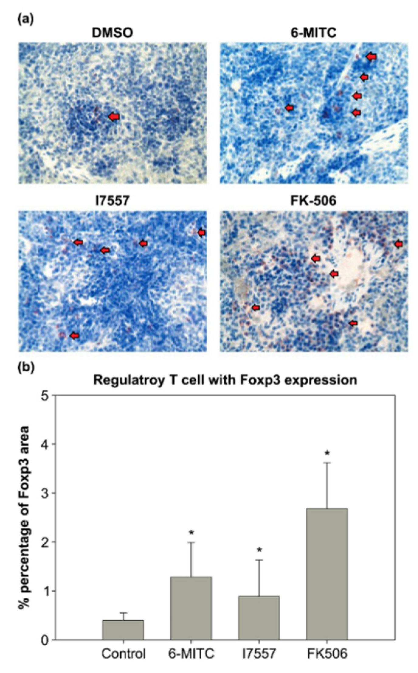 Ijms 23 08488 g008 Ijms 23 08488 g008