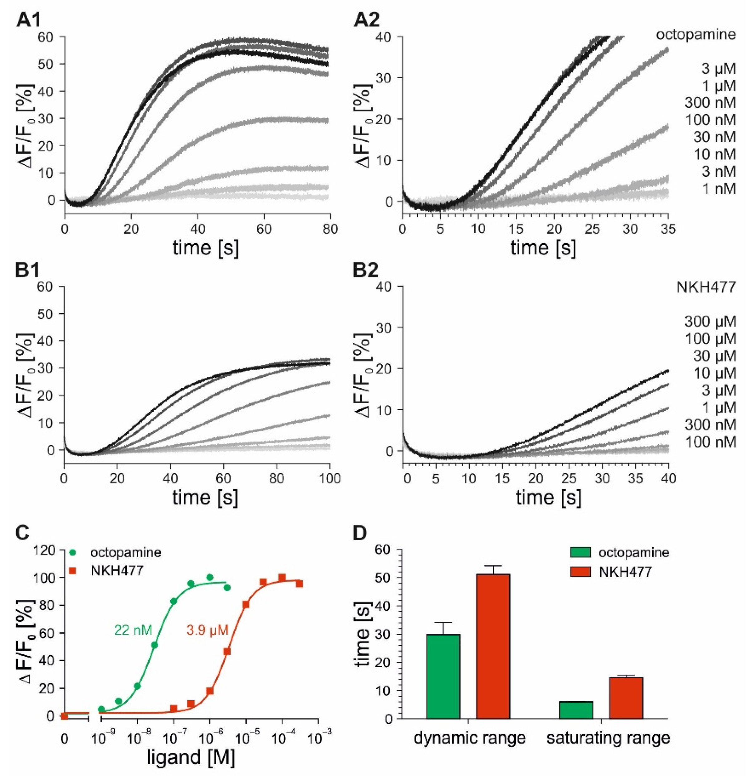 Ijms 23 08516 g004 Ijms 23 08516 g004