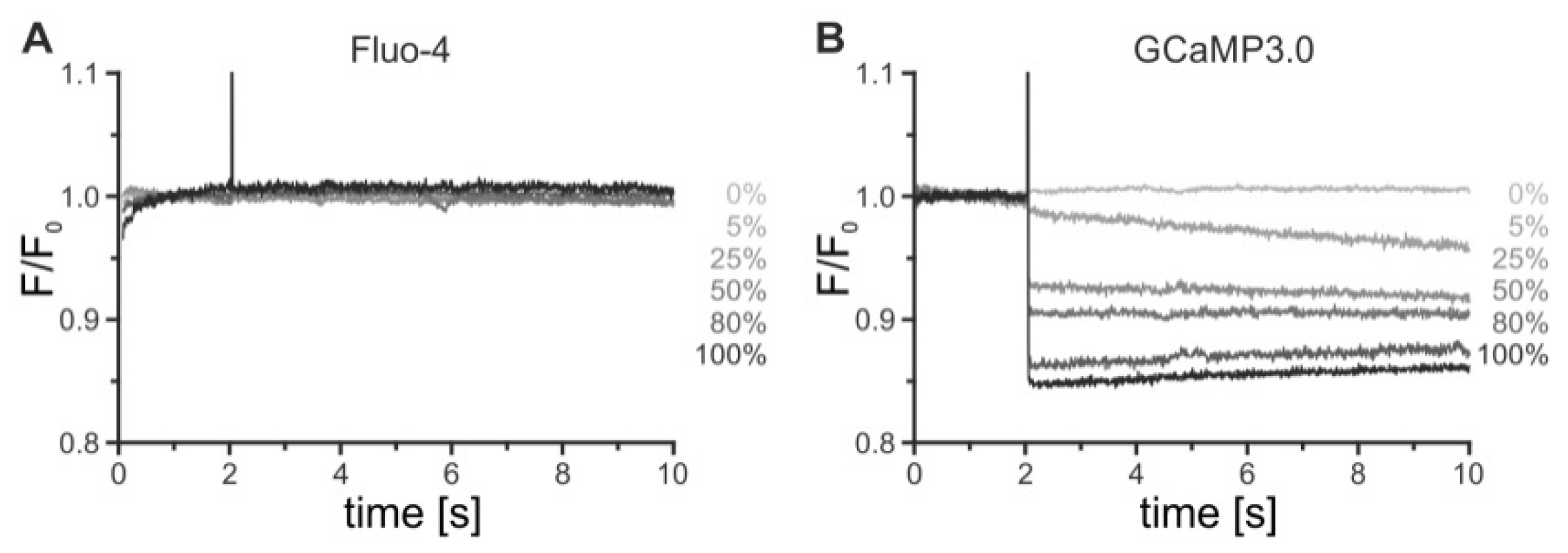 Ijms 23 08516 g006 Ijms 23 08516 g006
