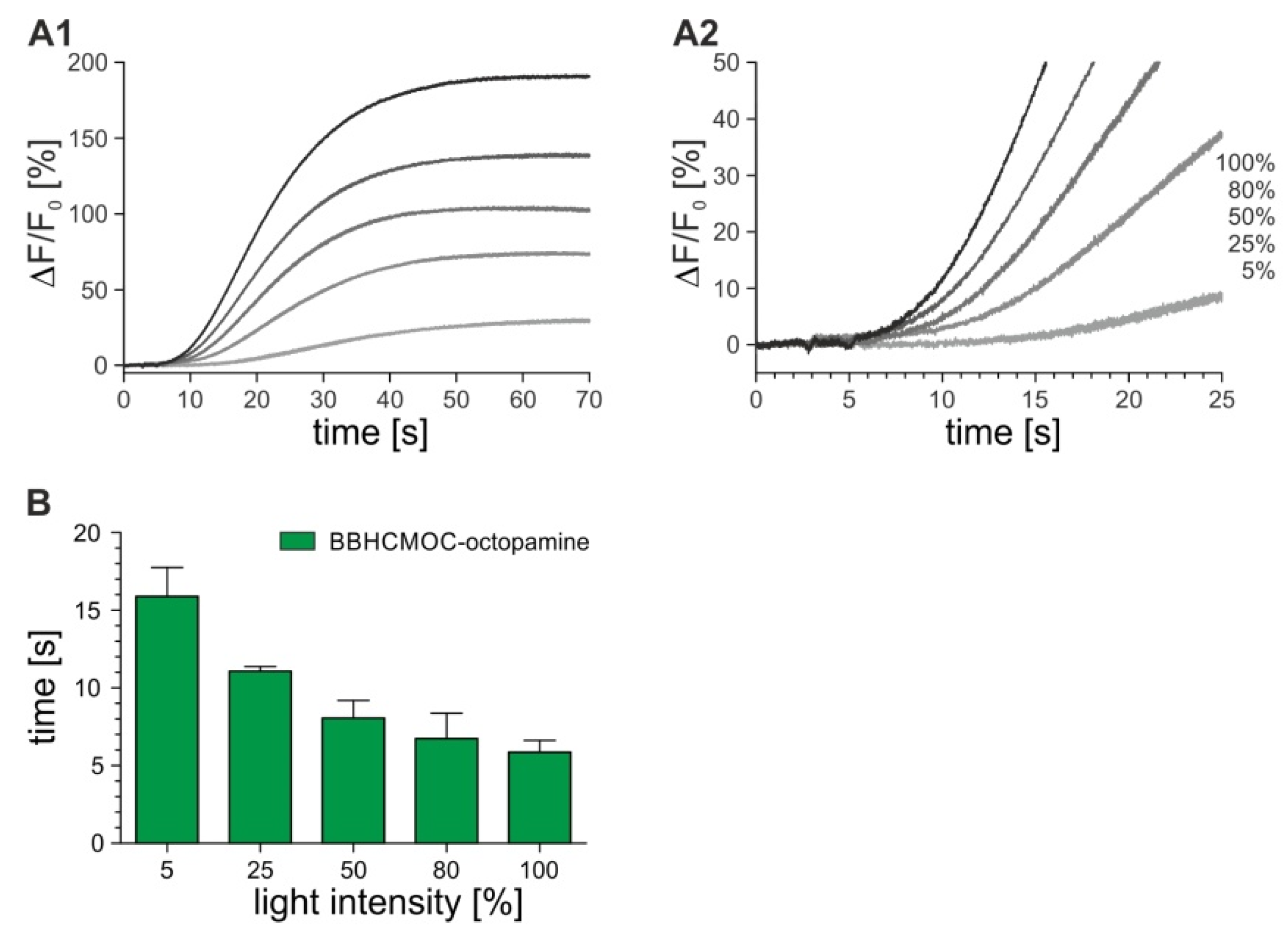 Ijms 23 08516 g007 Ijms 23 08516 g007