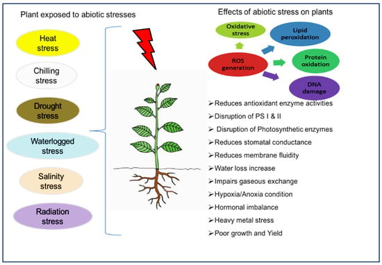 IJMS | Free Full-Text | Plant Nutrition: An Effective Way to