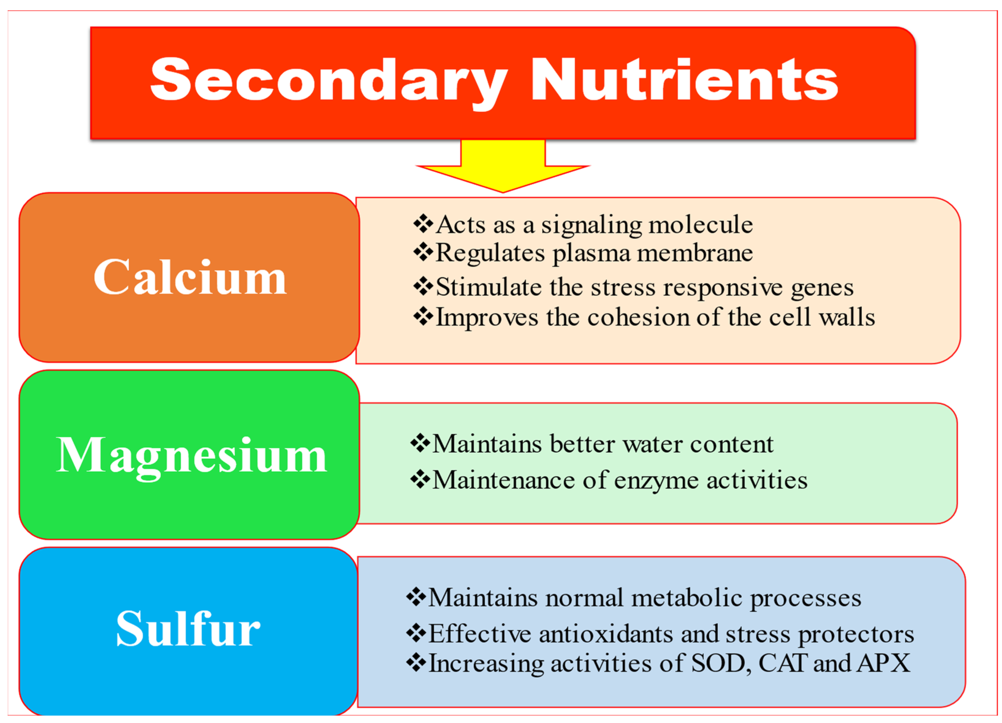 Ijms 23 08519 g003 Ijms 23 08519 g003