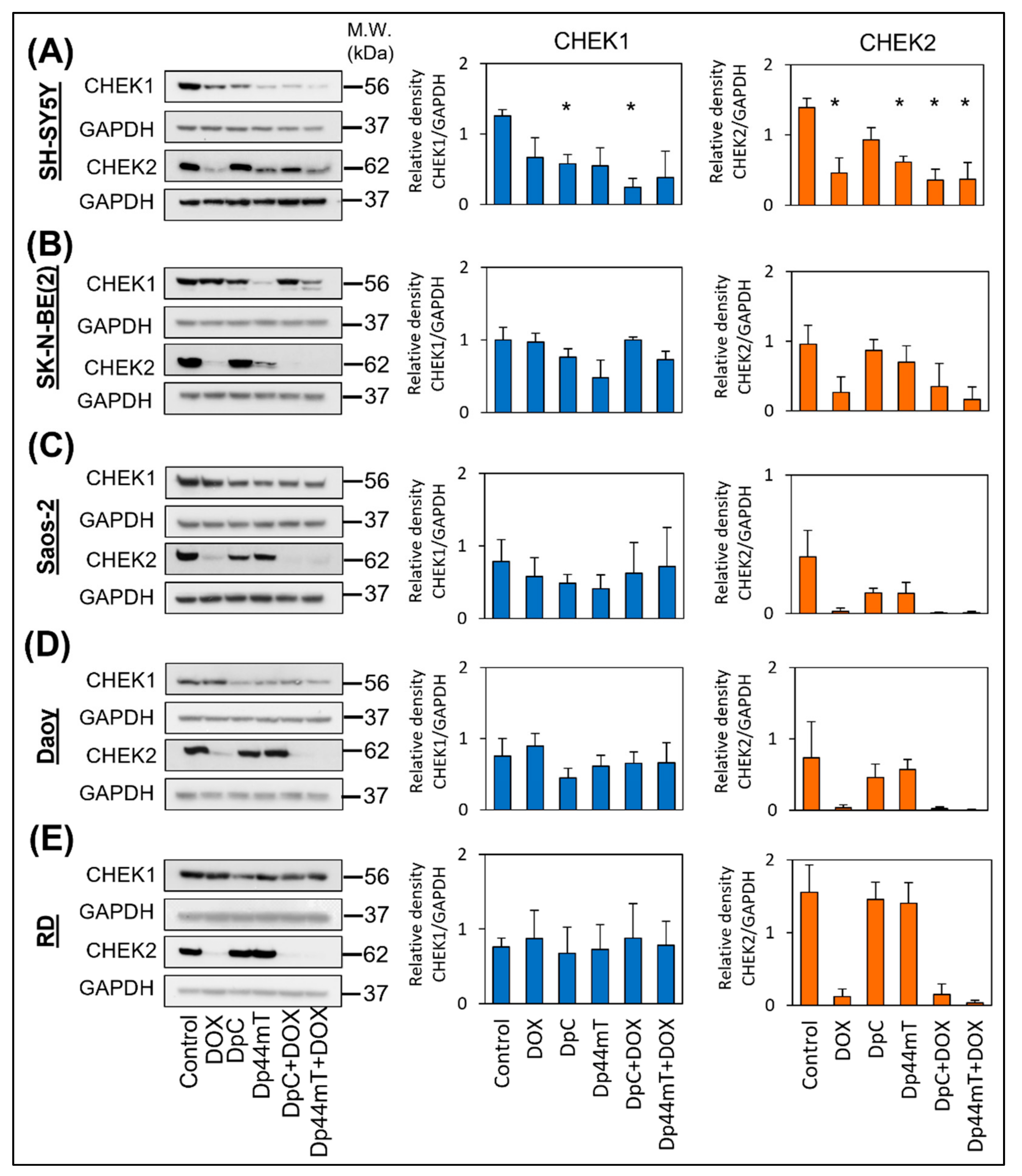 Ijms 23 08549 g006 Ijms 23 08549 g006