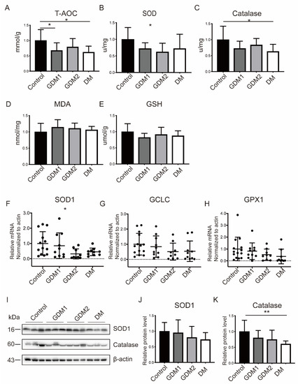 IJMS | Free Full-Text | Hyperglycemia in Pregnancy-Associated Oxidative  Stress Augments Altered Placental Glucose Transporter 1 Trafficking via  AMPK&alpha;/p38MAPK Signaling Cascade