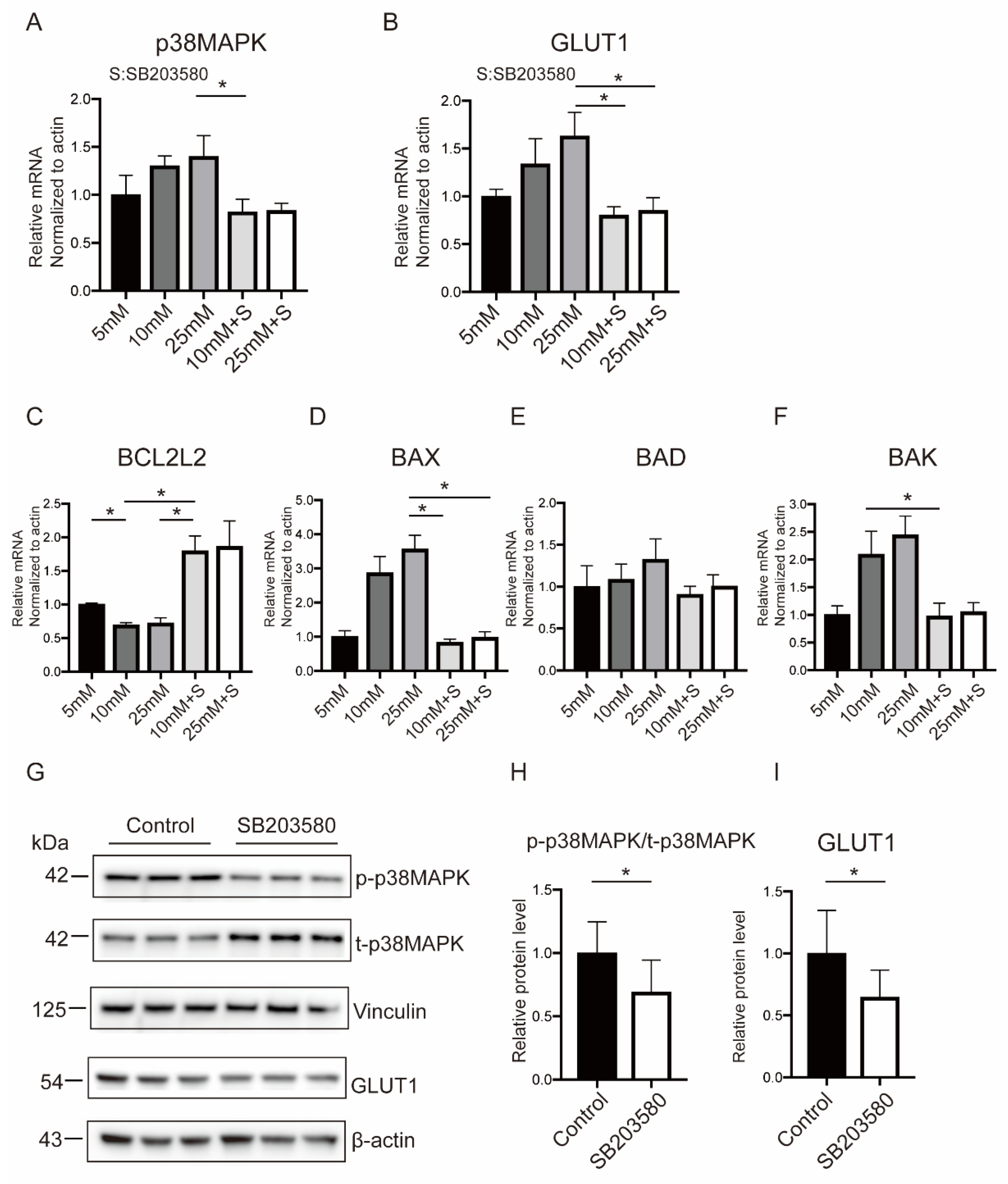 IJMS | Free Full-Text | Hyperglycemia in Pregnancy-Associated Oxidative  Stress Augments Altered Placental Glucose Transporter 1 Trafficking via  AMPK&alpha;/p38MAPK Signaling Cascade