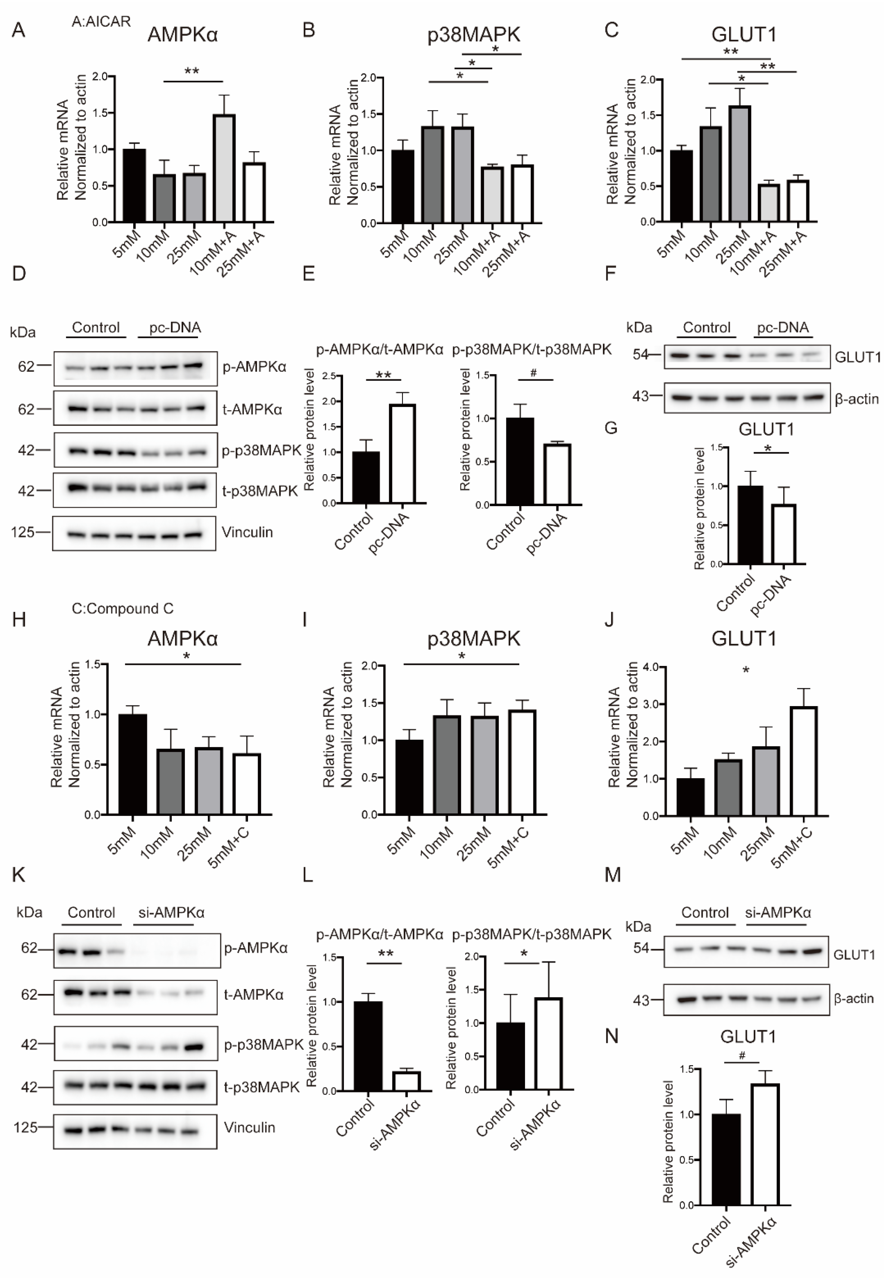 Ijms 23 08572 g006 Ijms 23 08572 g006