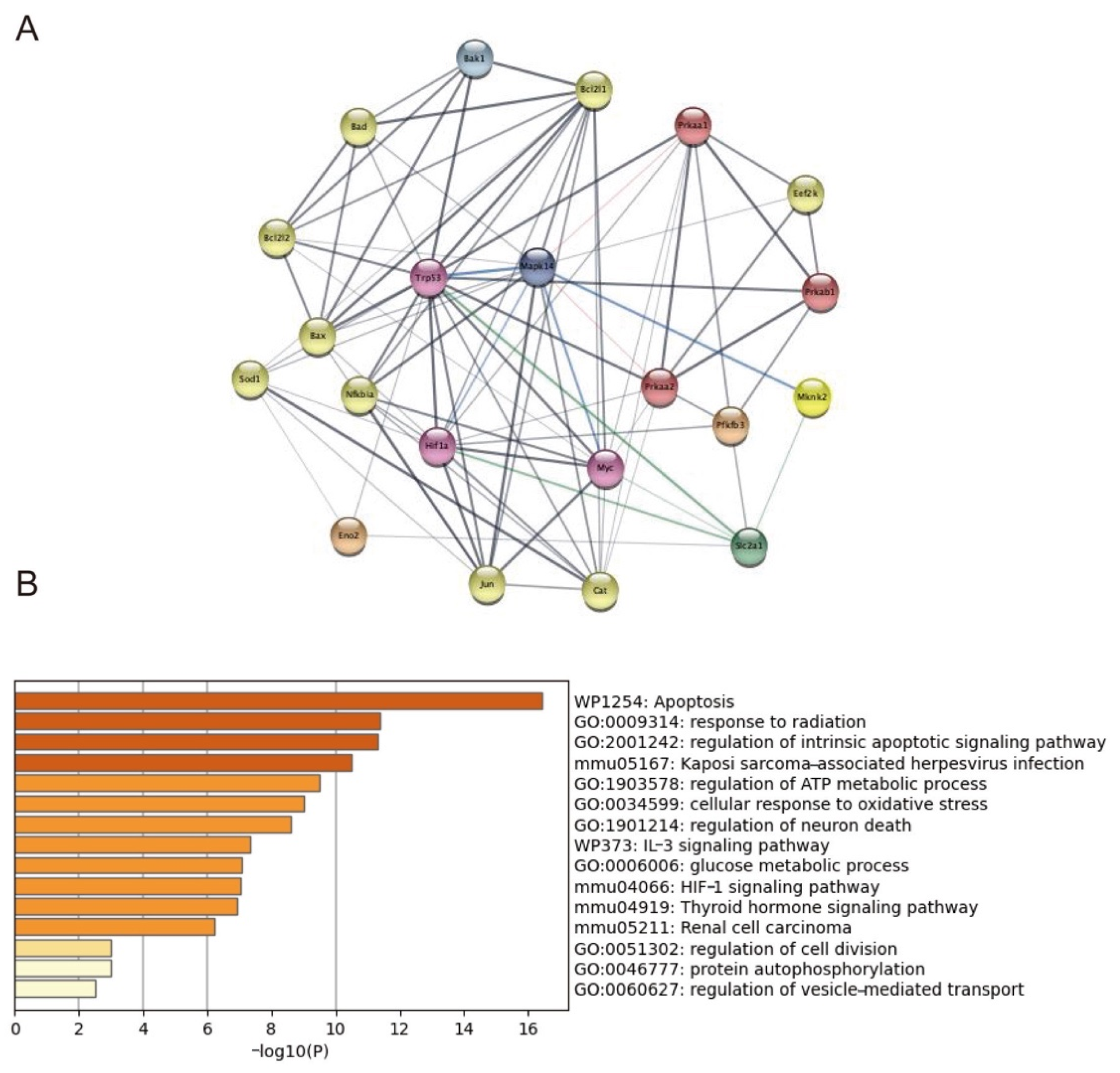Ijms 23 08572 g007 Ijms 23 08572 g007