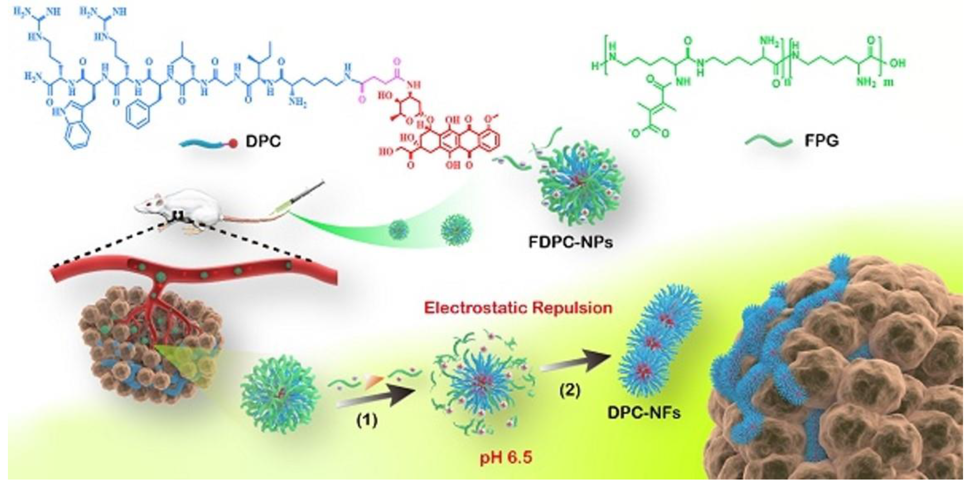 Ijms Free Full Text Nanofiber Carriers Of Therapeutic Load Current Trends Html