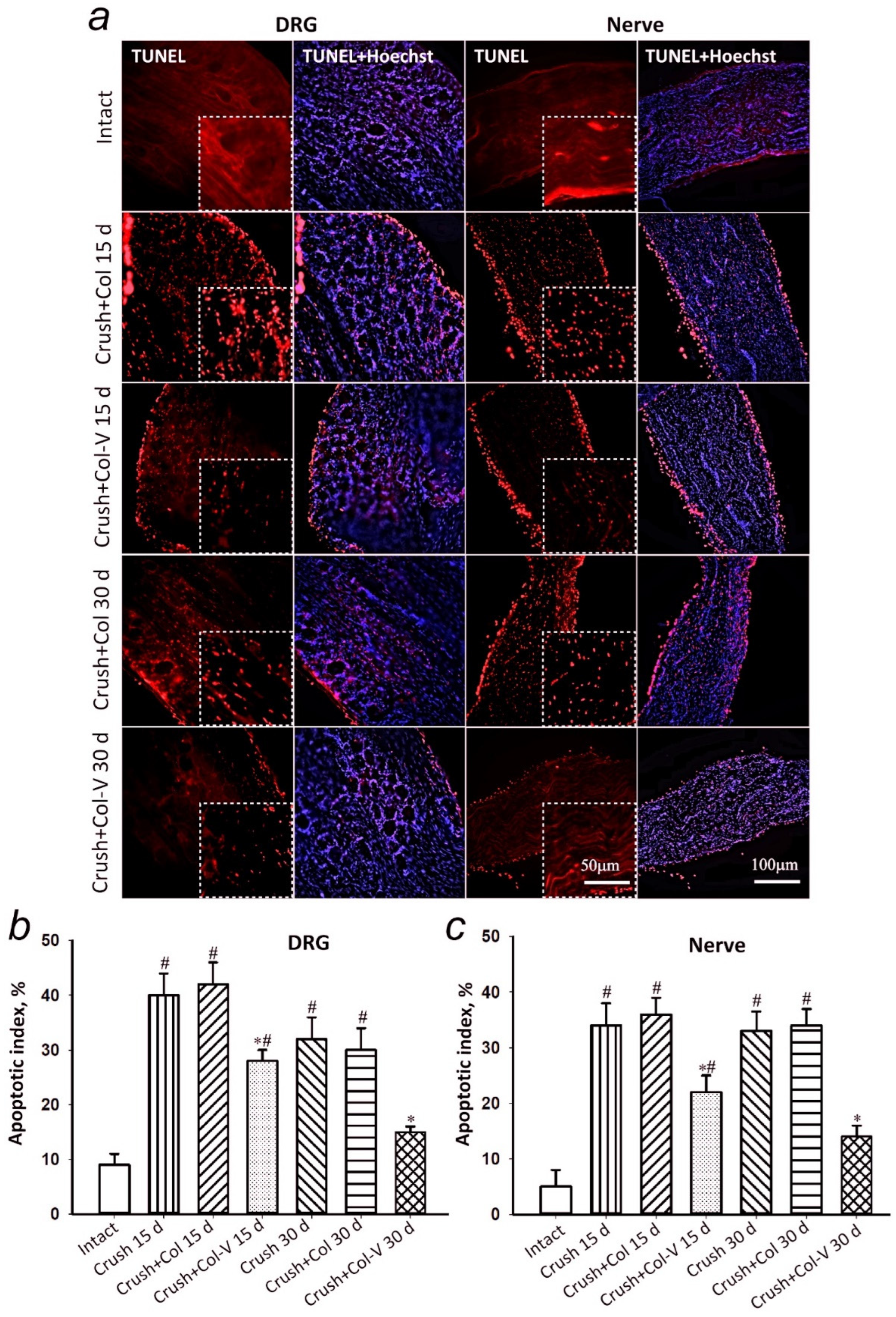 Ijms 23 08583 g004 Ijms 23 08583 g004