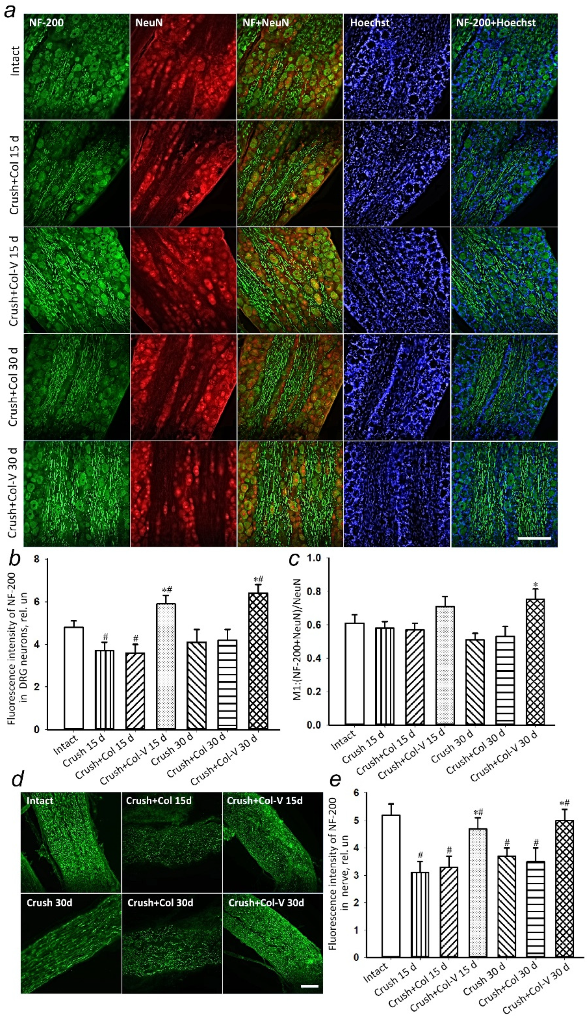 Ijms 23 08583 g005 Ijms 23 08583 g005