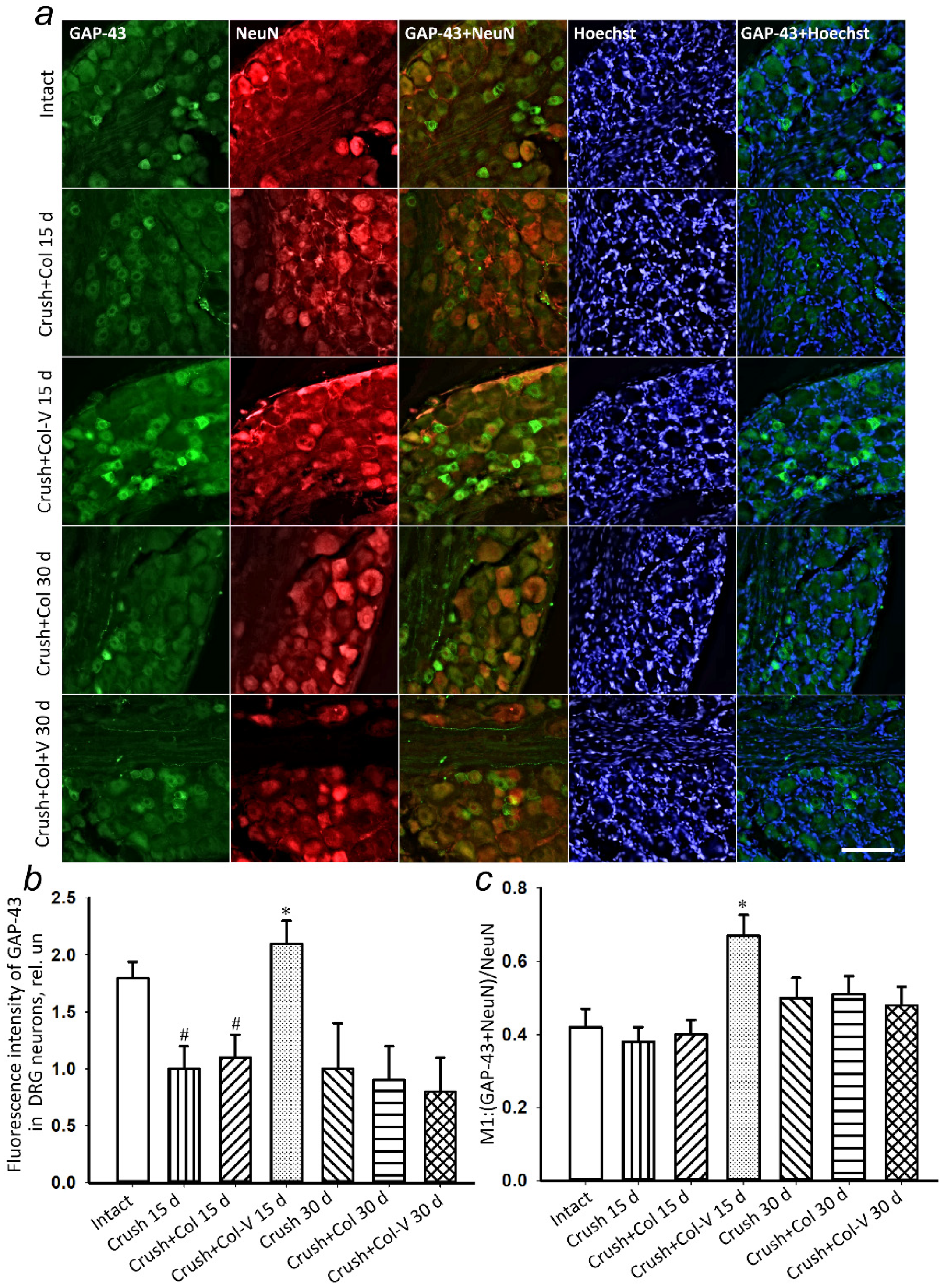 Ijms 23 08583 g006 Ijms 23 08583 g006