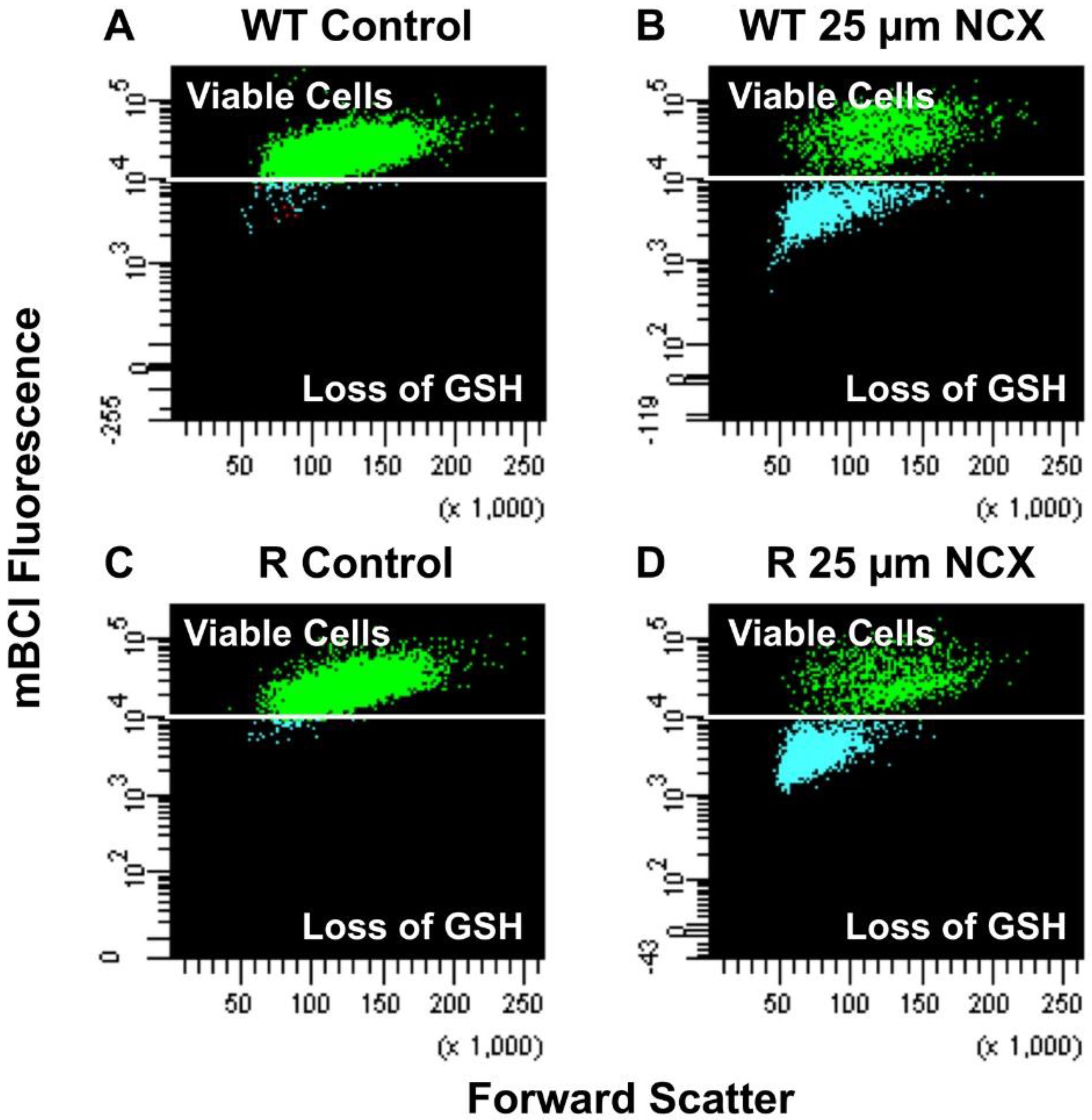 Ijms 23 08611 g003a Ijms 23 08611 g003a